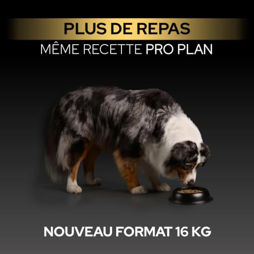 Thumbnail 2 de Purina Pro Plan Sensitive Digestion — Croquettes pour chien adulte taille moyenne, agneau, 3 kg