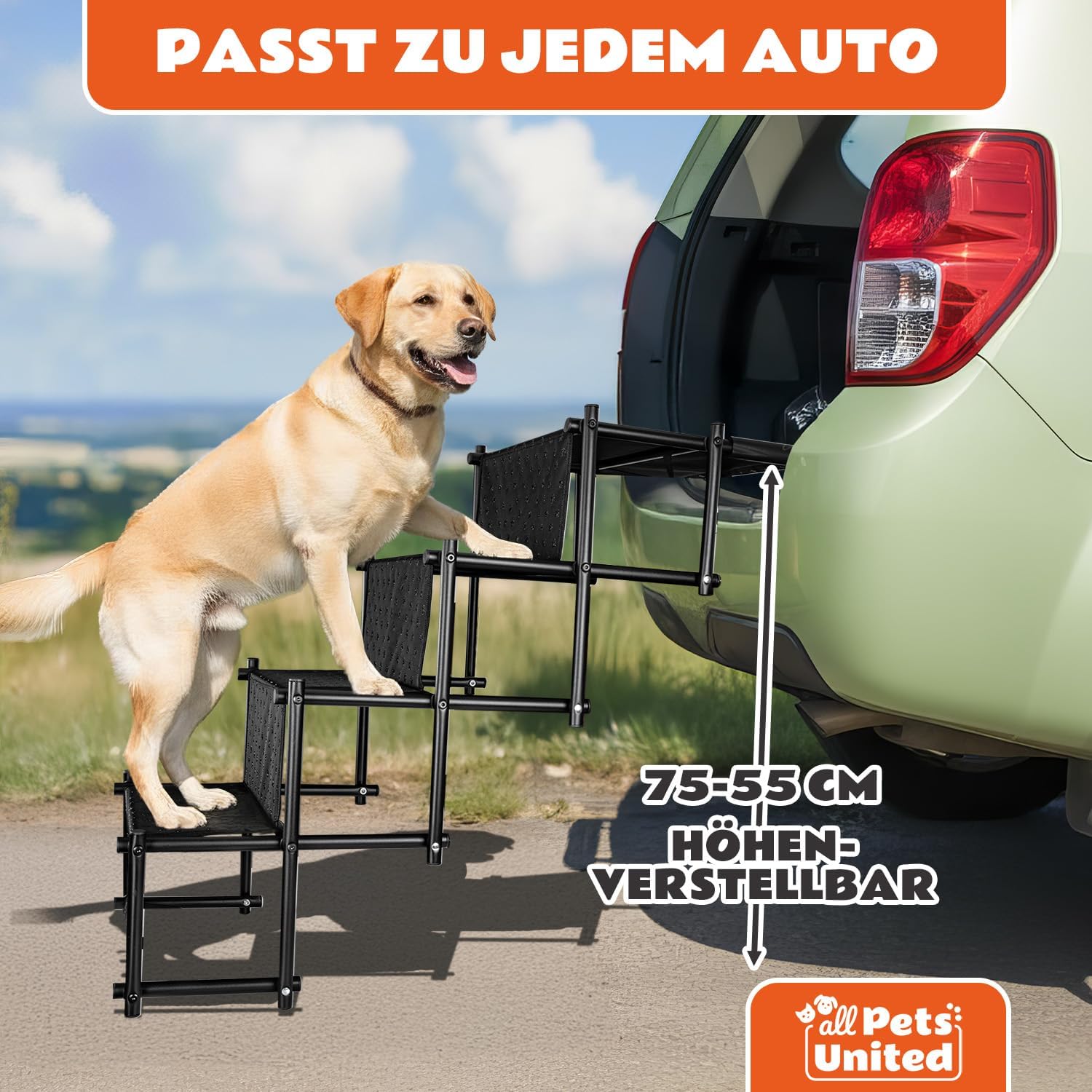 Detalle 2 de all Pets United Hunderampe klappbar 🐕🦺
