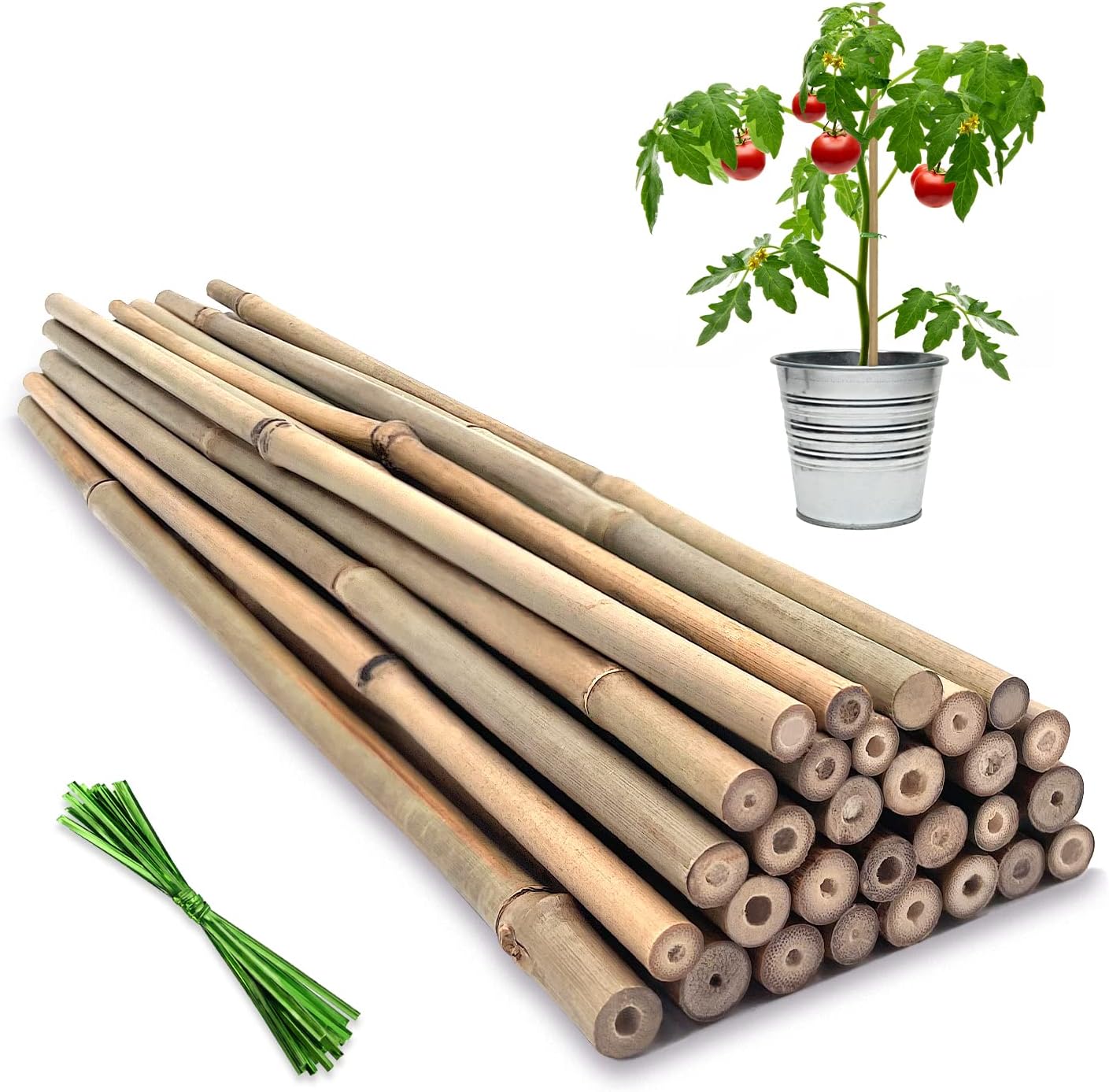 Detalle de BOVITRO XS-ZG-44.5 Bamboo Plant Stakes, 18-Inch, 20-Pack with Green Ties