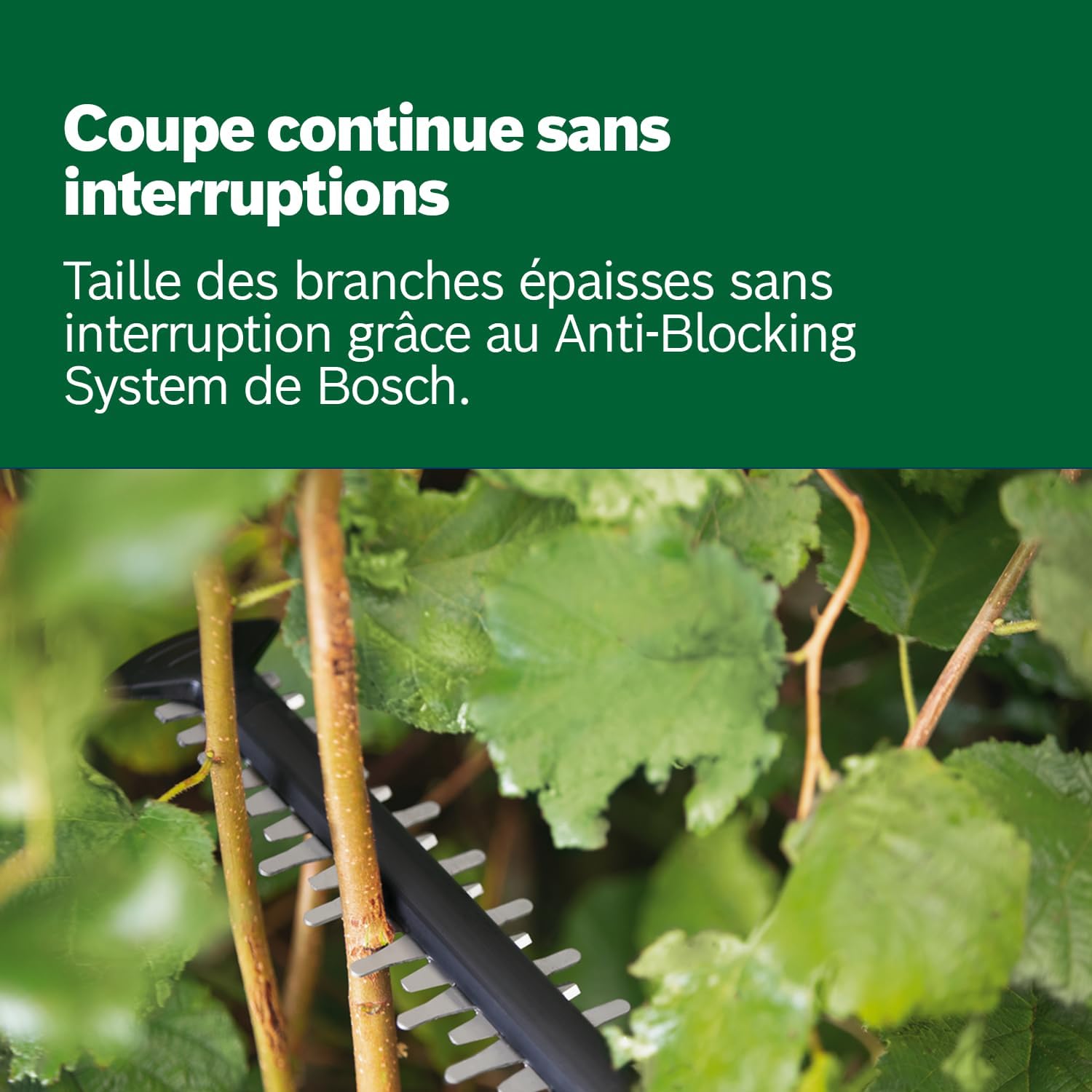 Thumbnail 5 de Bosch UniversalHedgeCut 18V-50 taille-haies 50 cm 🌳