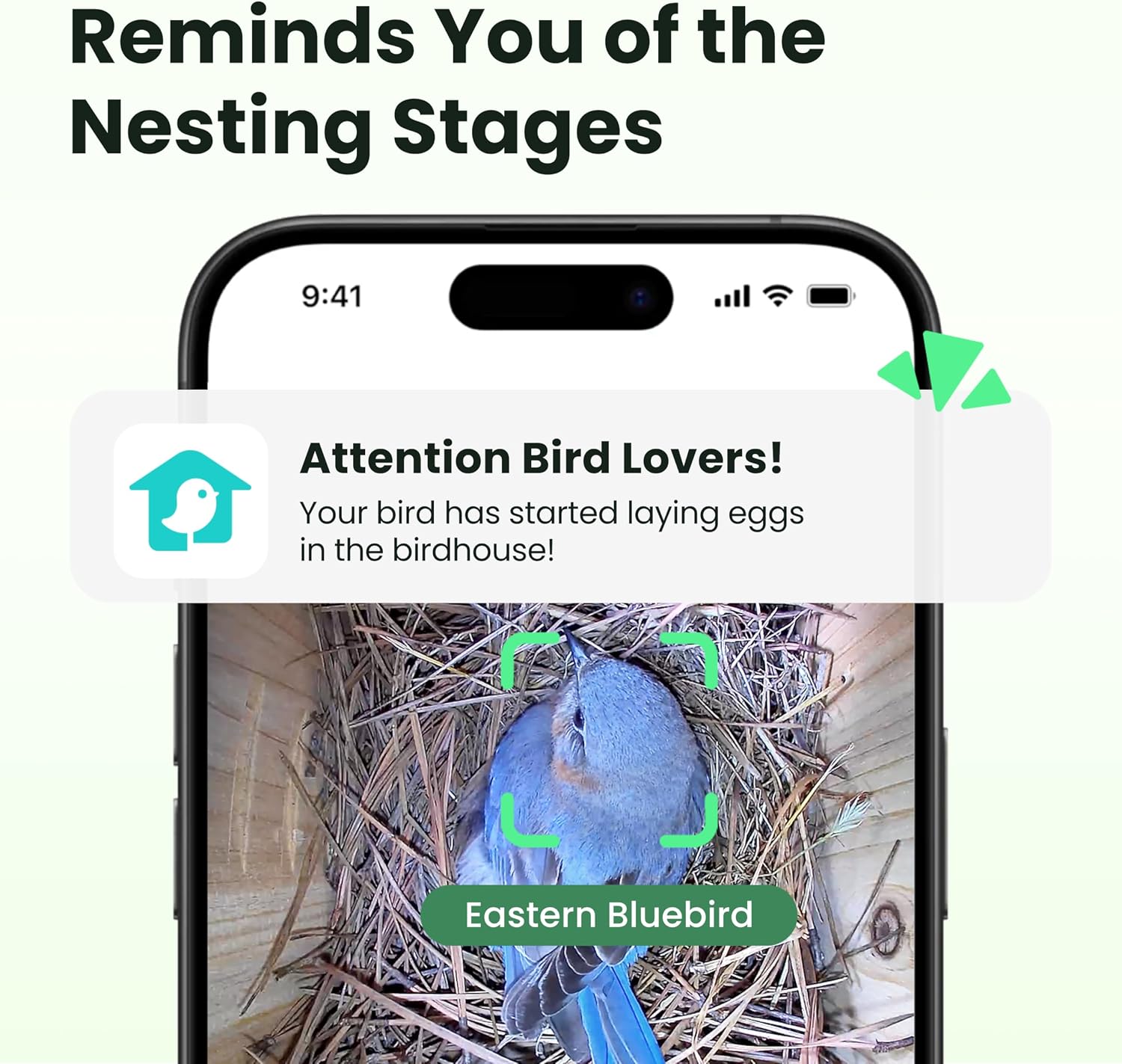 Thumbnail 1 de Birdfy Bird House with Camera: Solar Powered Outdoor Nest Cam for UK Birders