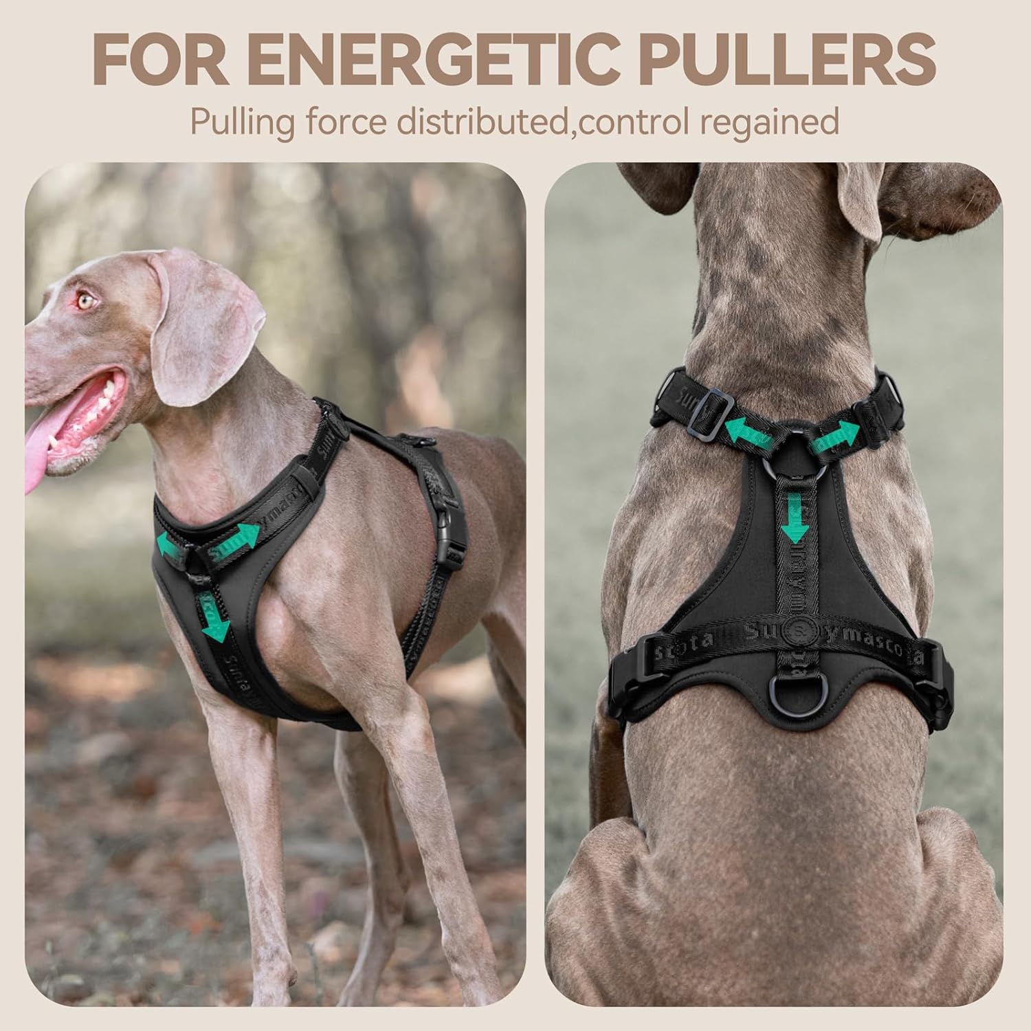 Detalle 2 de Sunraymascota No-Pull Dog Harness for Large Dogs – Lycra Elastic, Breathable Mesh, Easy On/Off