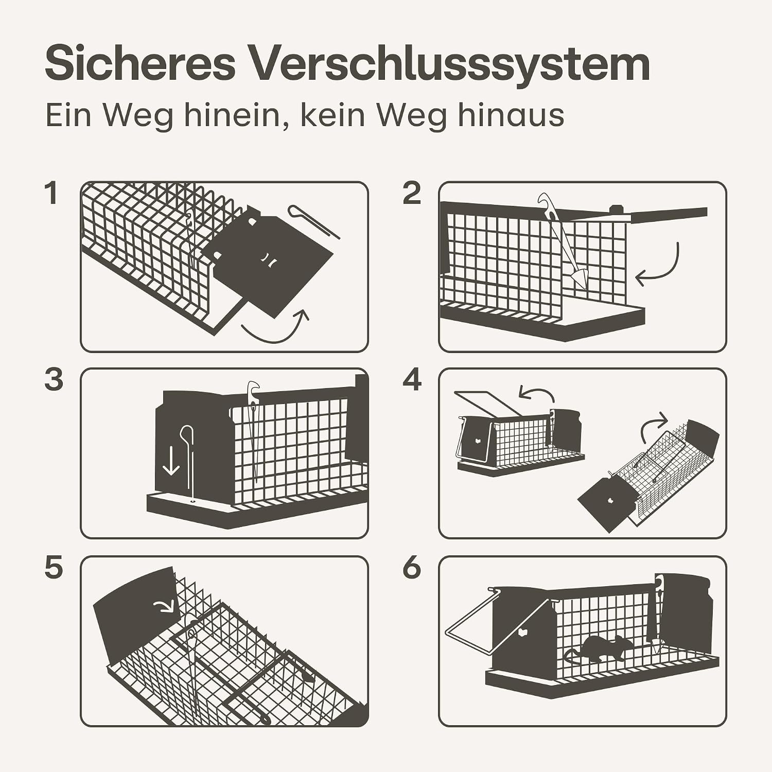 Thumbnail 5 de Praknu Lebendfalle für Ratten und Mäuse, 30 cm aus FSC®-Holz – wiederverwendbar & tierfreundlich