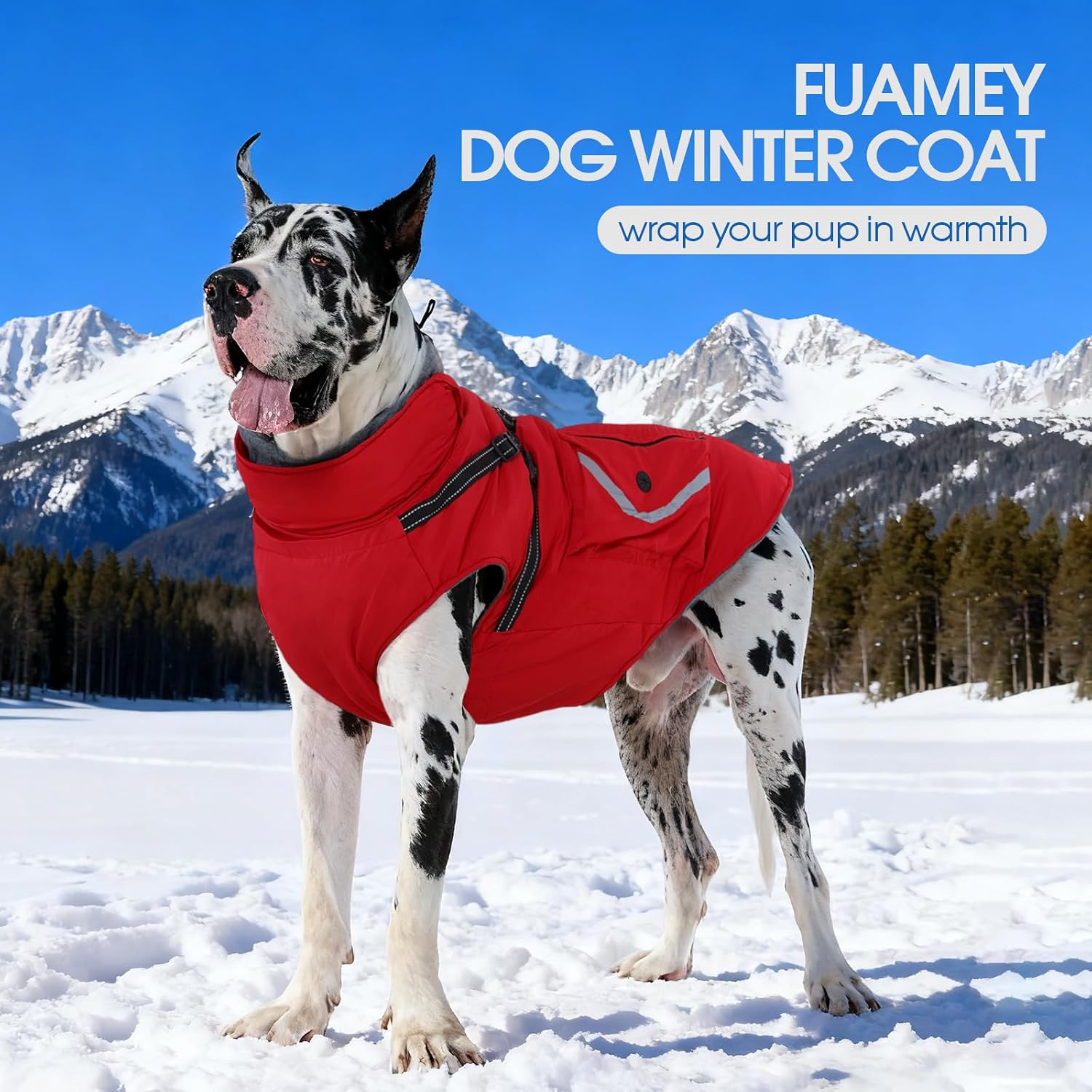 Thumbnail 6 de FUAMEY Dog Coat, XL