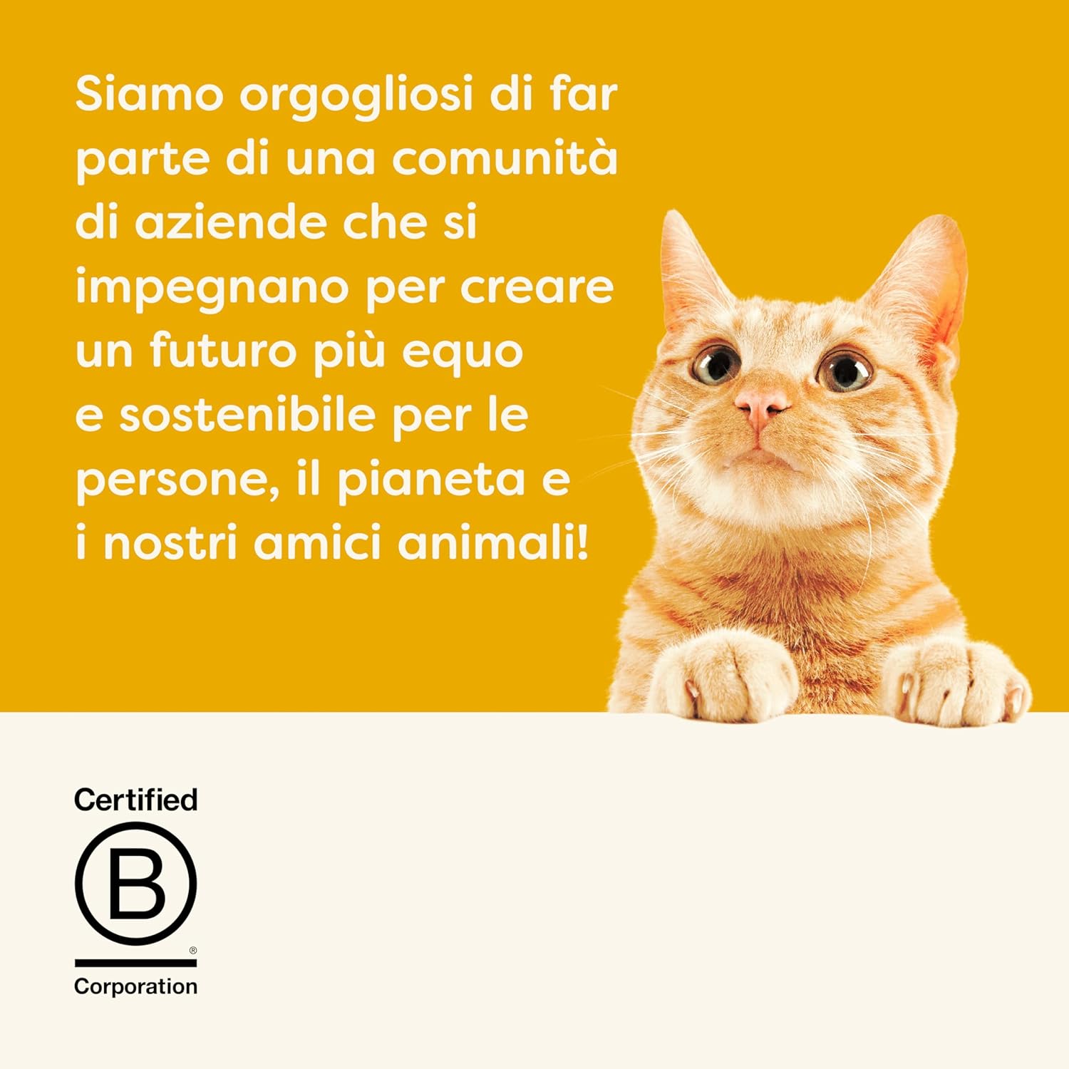 Thumbnail 6 de Applaws cibo umido 100% naturale per gatti adulti, Petto di Pollo con Gambero in Brodo – 24 lattine da 70 g