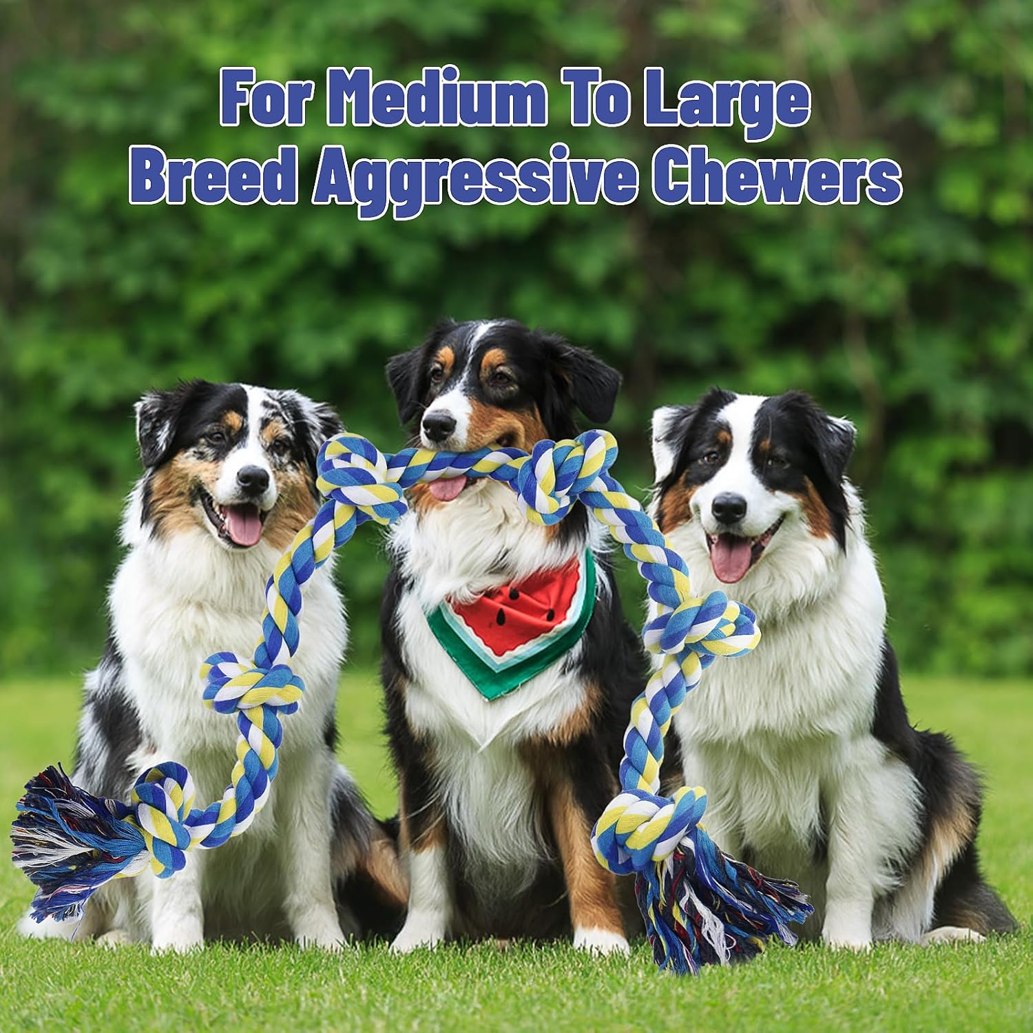 Thumbnail 4 de GASAPET Extra 42in (108cm) 6-Knot Cotton Rope Dog Toy for Aggressive Chewers (Medium–Large Breeds)