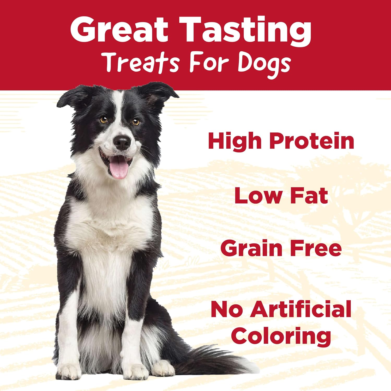 Detalle de Country Kitchen Chicken Jerky Dog Treats, 16 oz