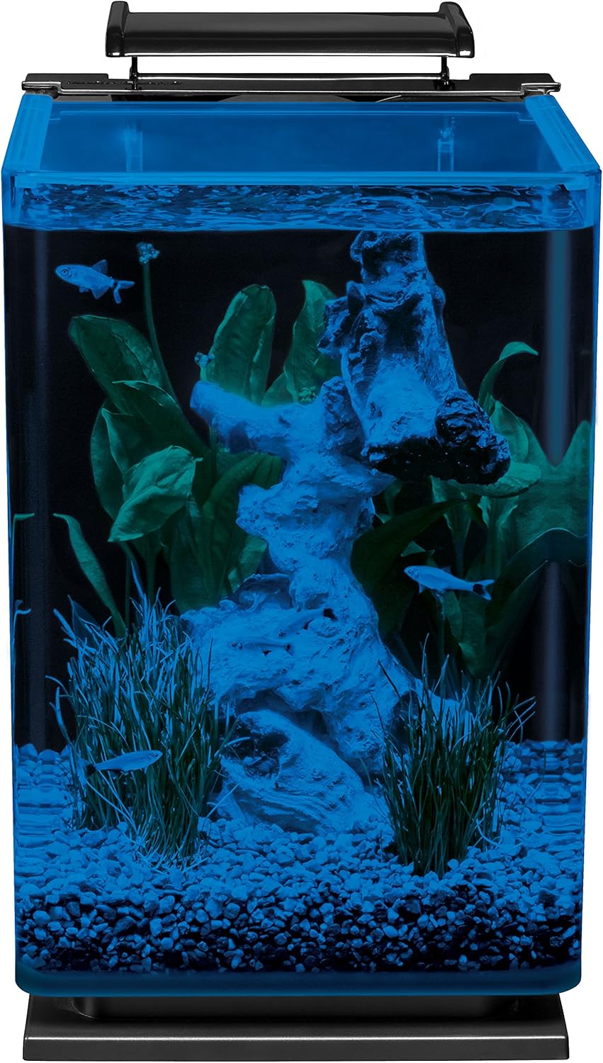 Detalle de Marineland Portrait Glass LED Aquarium Kit, 5 Gallons, Hidden Filtration, Black