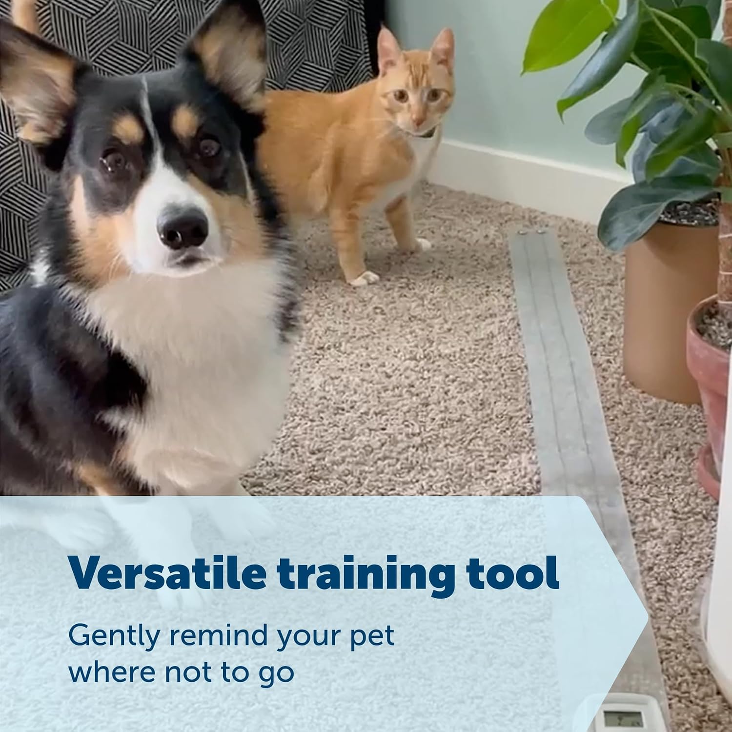 Thumbnail 3 de PetSafe ScatMat Indoor Training Mat