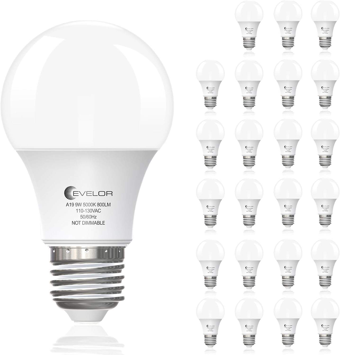 Detalle de evelor YH-A-60-03 A19 LED Bulbs, 5000K Daylight, 24-Pack
