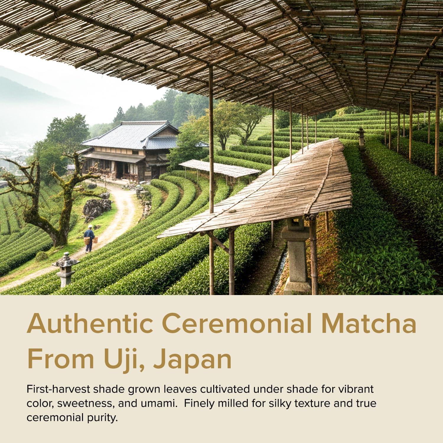 Thumbnail 1 de VAHDAM Matcha Ceremonial 30g Té verde matcha