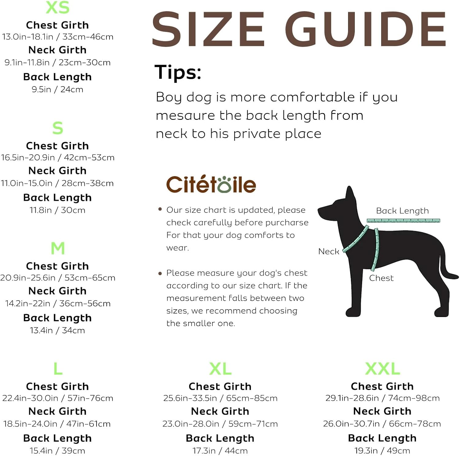 Detalle de CITÉTOILE Dog Life Jacket Shark Costume – Safe, visible flotation vest for dogs (Green, M)