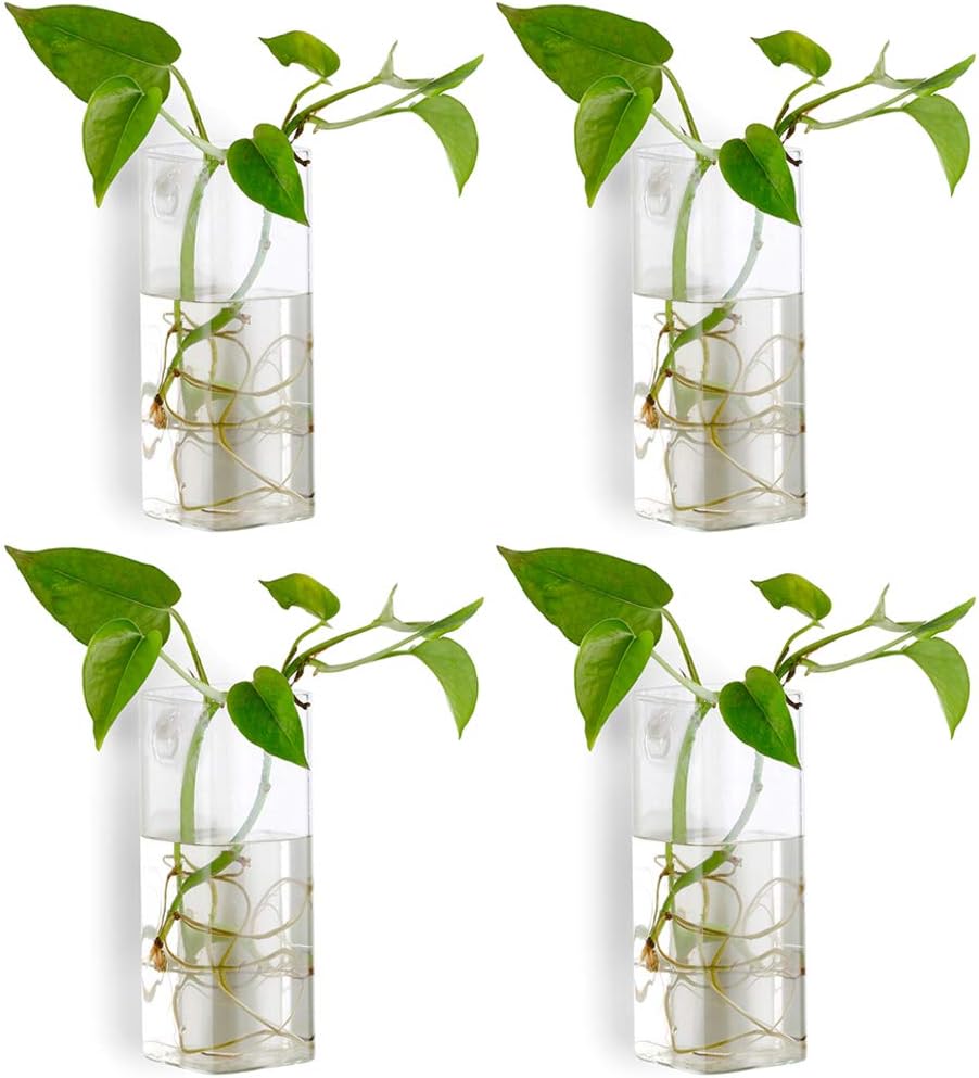 Detalle de Nuptio Vasi di Fiori da Parete in Vetro Trasparente – Set da 4, Sospesi e Resistenti
