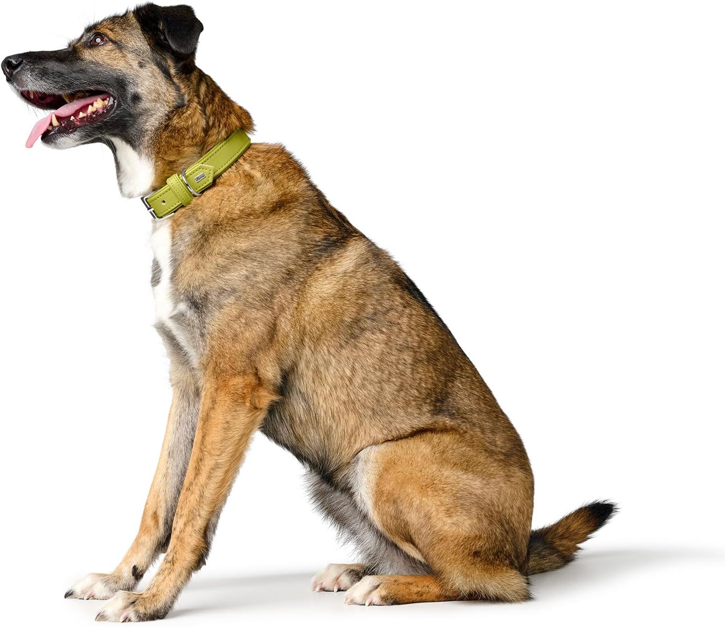 Thumbnail 4 de HUNTER Amalfi Hundehalsband grün 60