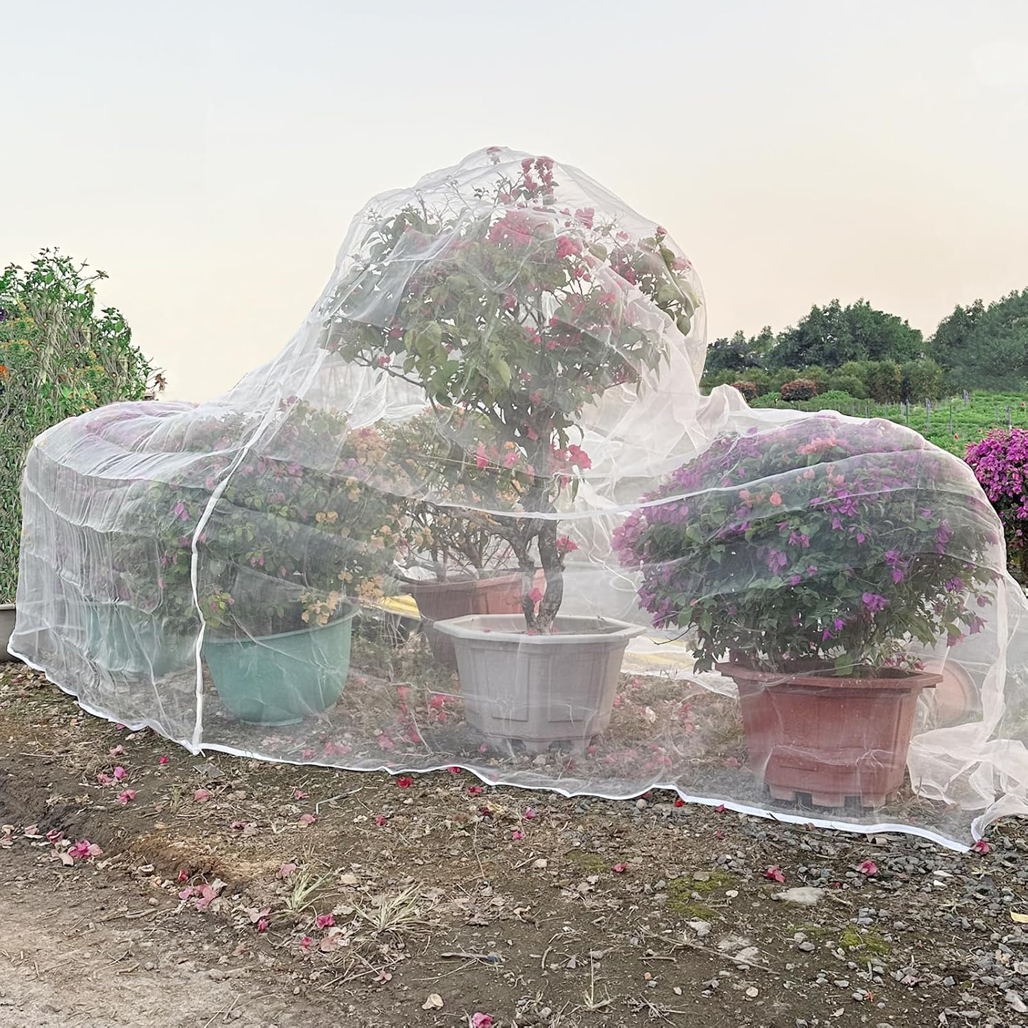 Thumbnail 6 de 2Pack 3x3m Insect Netting Bag with Zipper and Drawstring – Fruit Tree Netting for Protecting Blueberry Flowers and Plants
