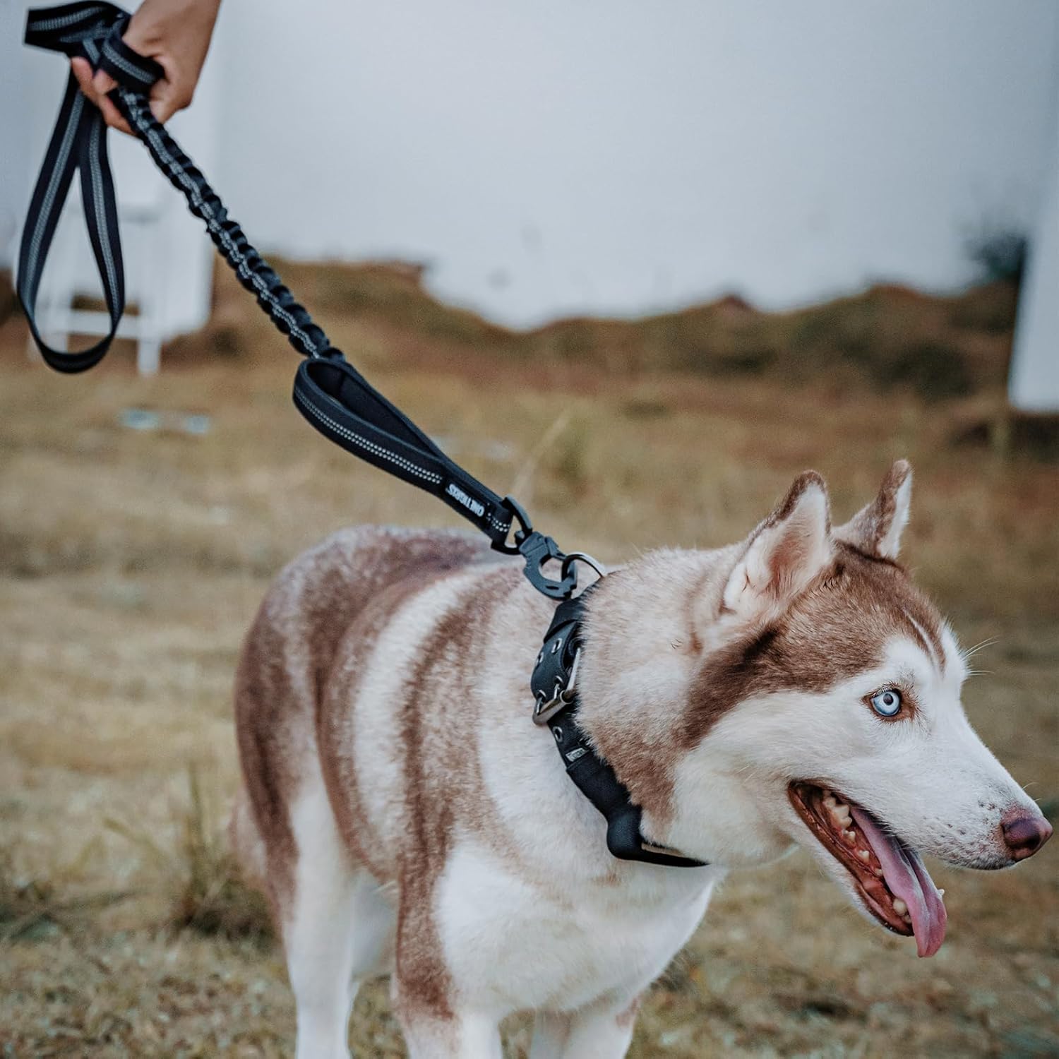 Thumbnail 6 de OneTigris Laisse pour chien 152–188 cm – design Bungee Jumping, clip en métal taillé tigre et deux rembourrages, nylon réfléchissant