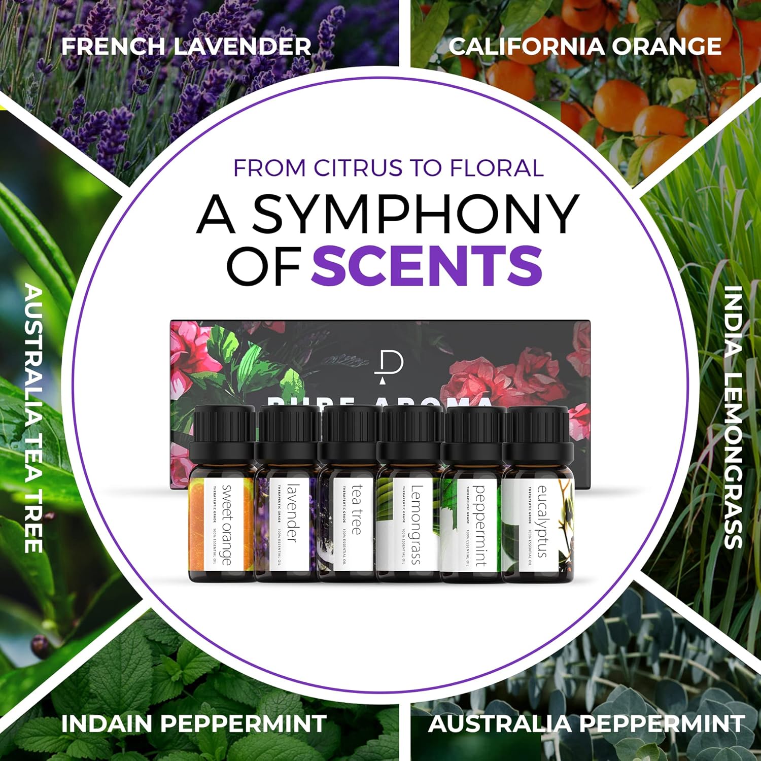 Thumbnail 3 de Pure Aroma Essential Oils Set 6 x 10ml