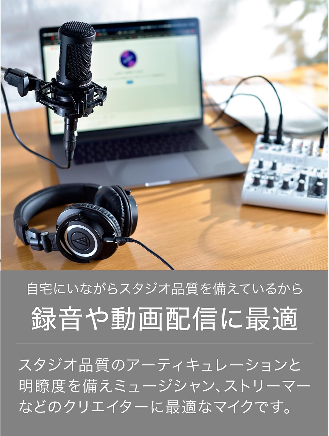 Detalle de オーディオテクニカ AT2020GM XLRコンデンサーマイク 単一指向性・ガンメタリック