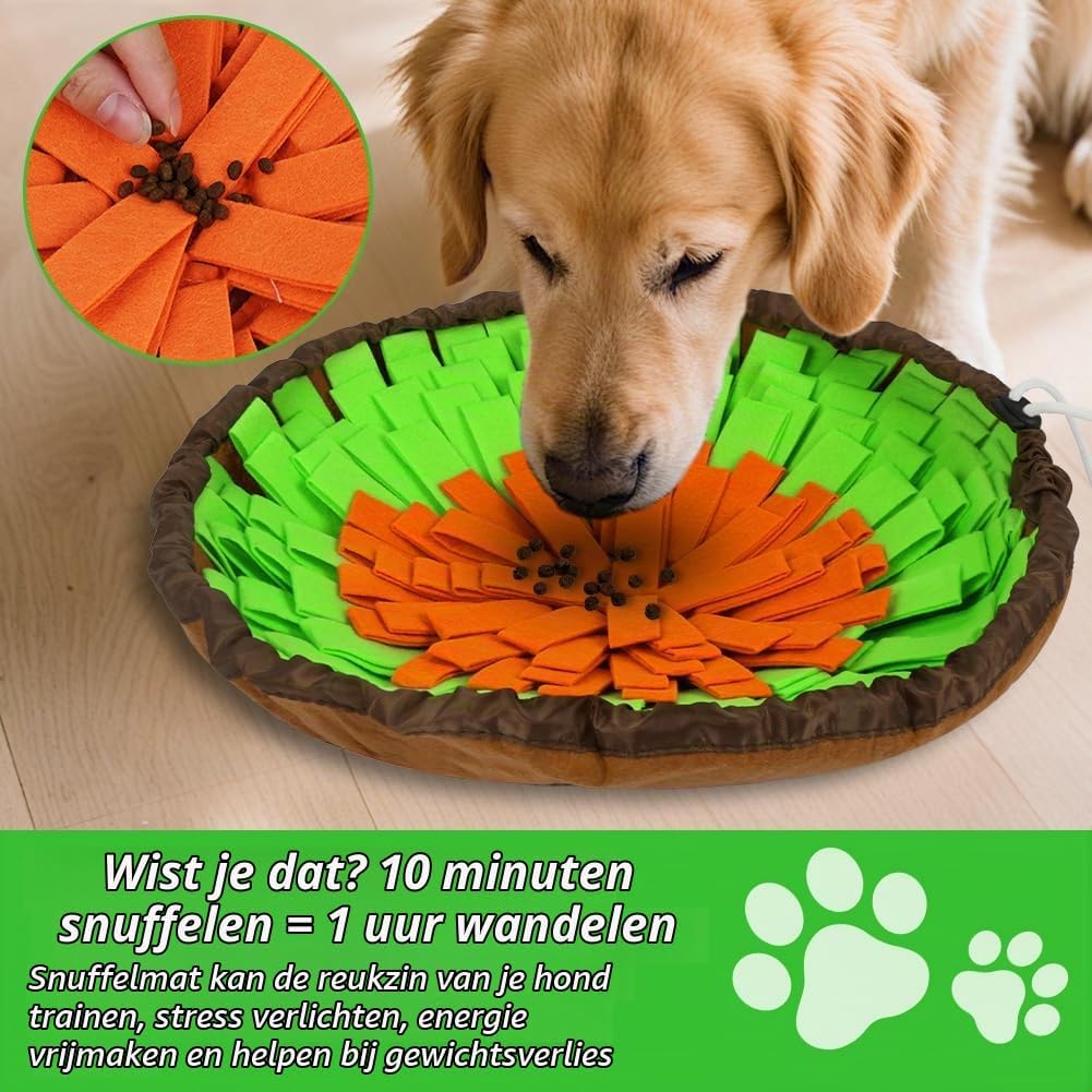 Detalle 1 de AYESY P3-XWDGRE250731-FBA snuffelmat voor honden van vilt, 48 x 48 cm