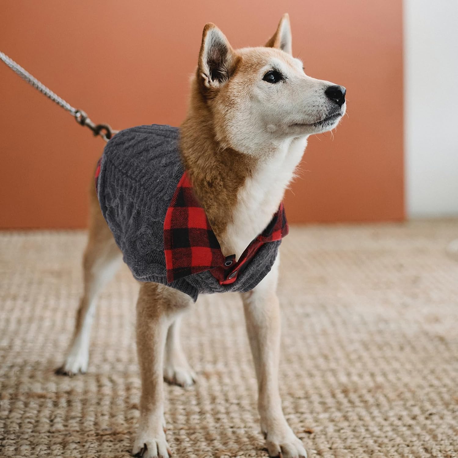 Thumbnail 5 de CITÉTOILE Winter Dog Jumper Grey M