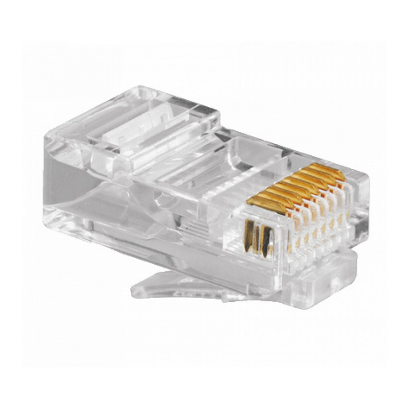 Detalle de Equip Conector RJ45 Cat6 — 100 unidades (macho para crimpar)