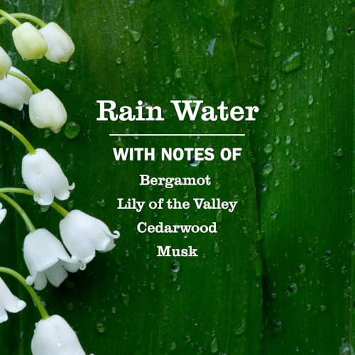 Detalle de Mrs. Meyer’s Clean Day Hand Soap, Rain Water Scent — 12.5 Fl Oz Bottle, 3-Pack