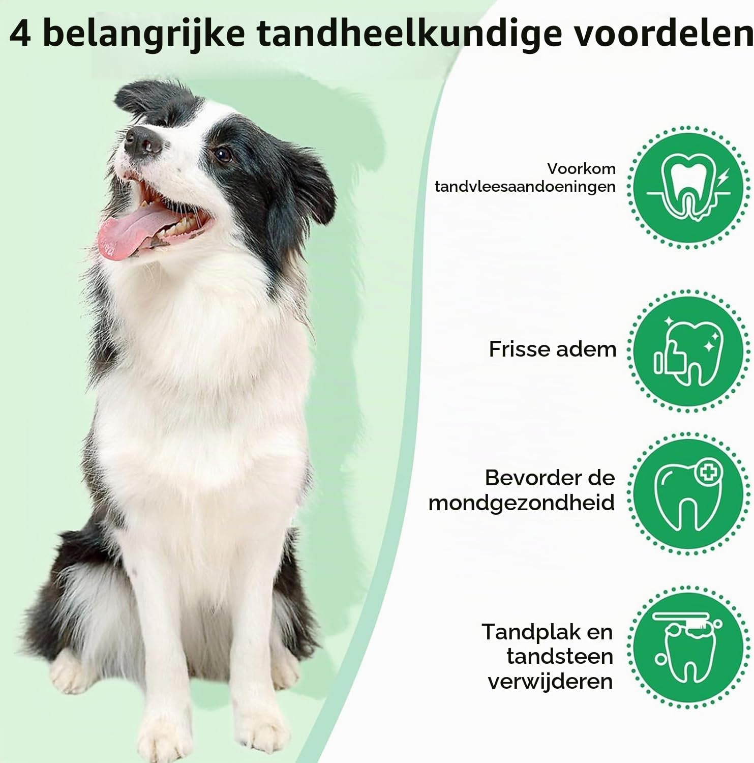 Thumbnail 5 de HONGYEE tandreinigingspoeder voor honden en katten, 150 g