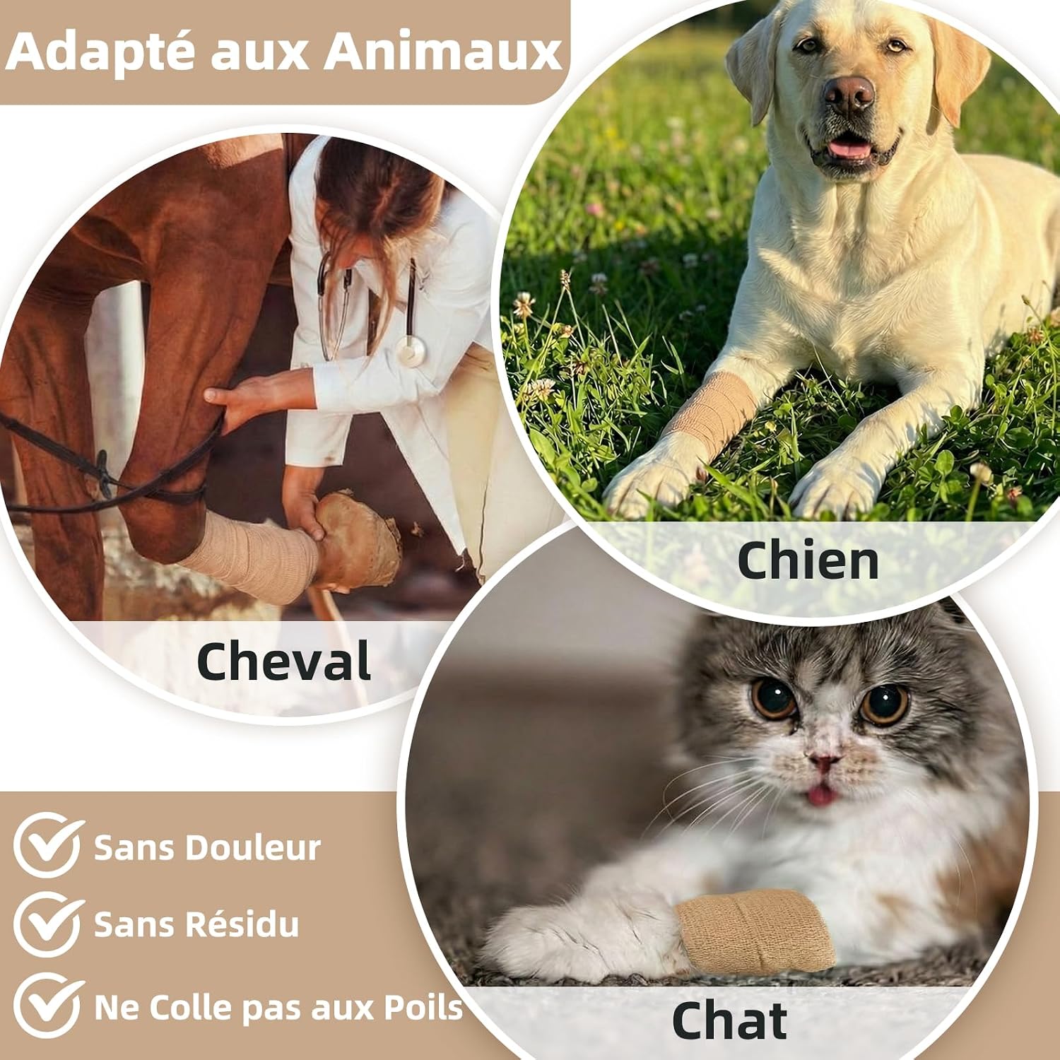 Thumbnail 4 de HONYAO Bandage Autoadhésif 10 Rouleaux – Bande Cohesive Multifonction pour Humains et Animaux (Beige, 3 Tailles)