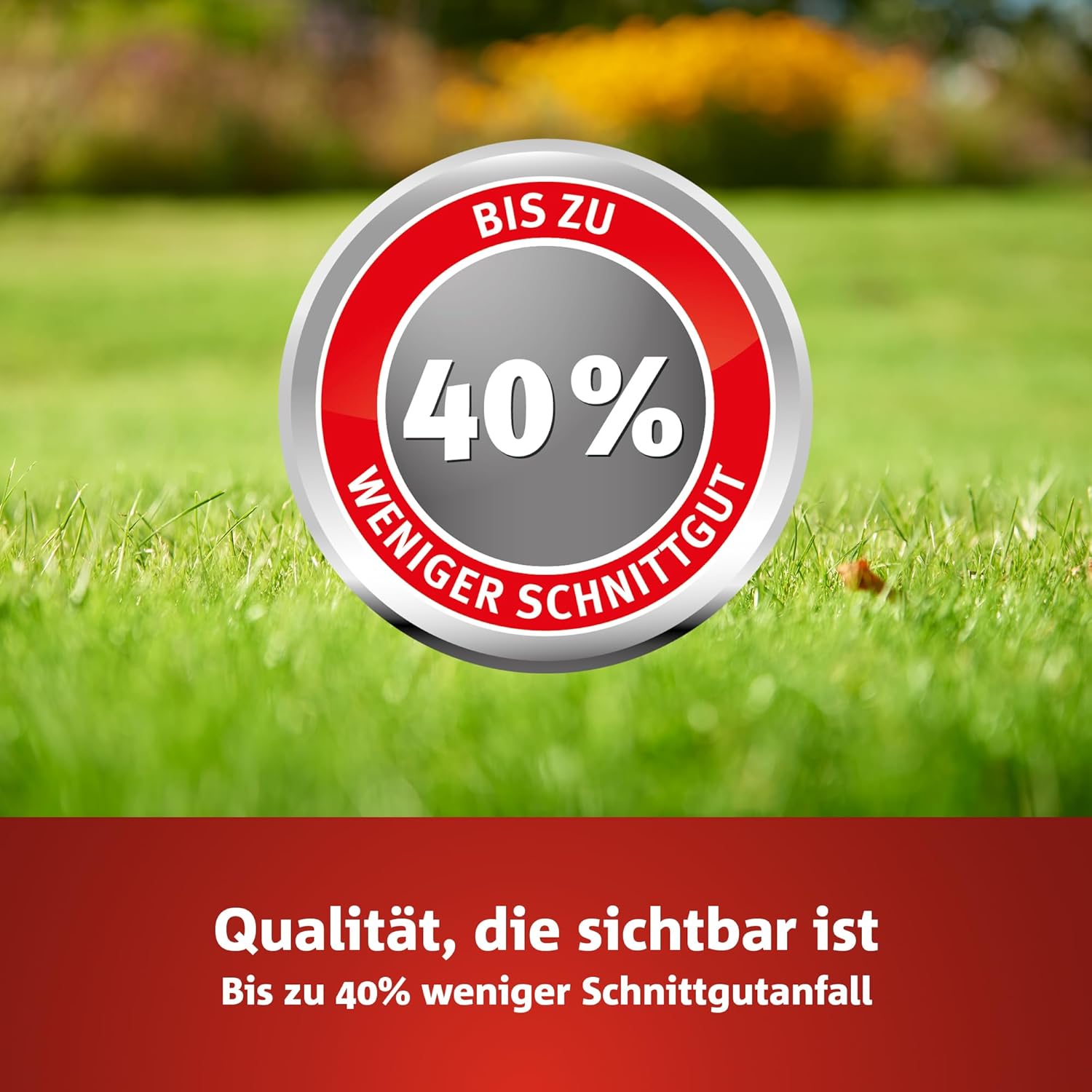 Thumbnail 5 de WOLF-Garten Turbo-Nachsaat SCHATTEN – Rasensanierung für schattige Lagen (LR-S 50, 1 kg Karton)