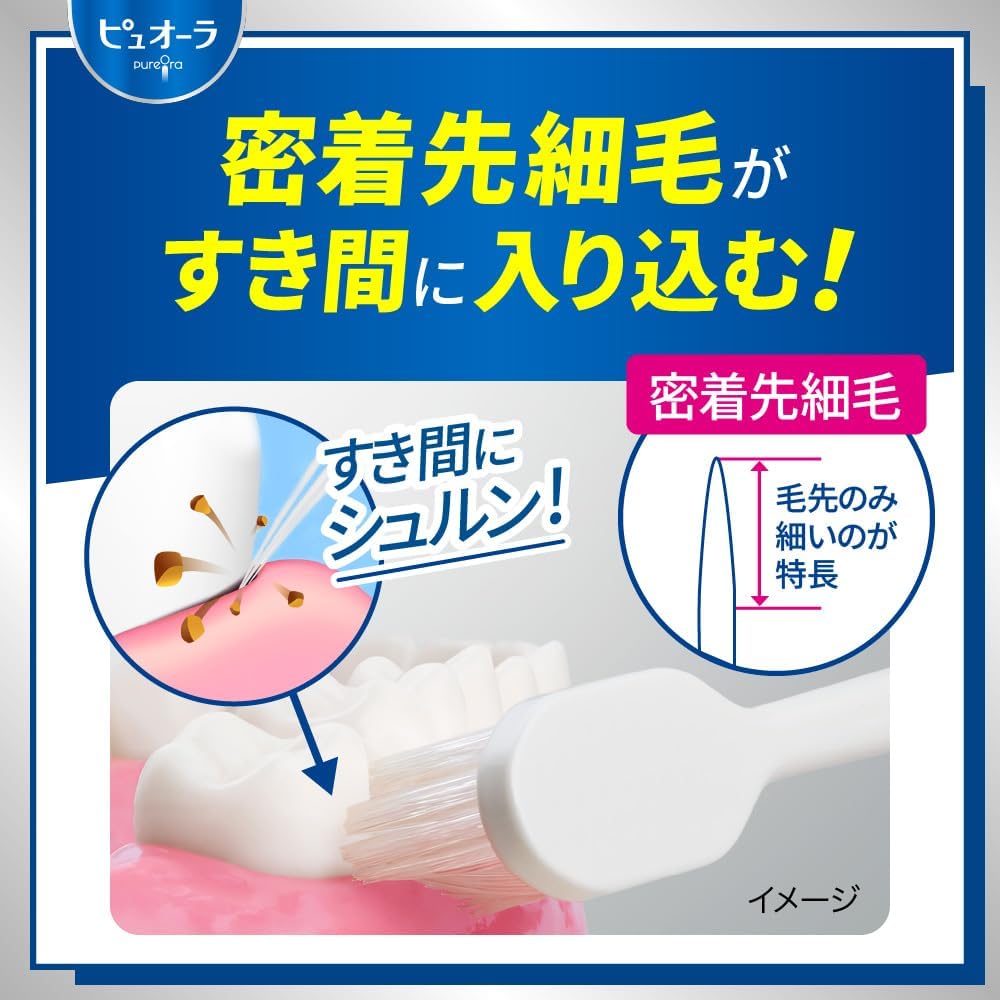 Thumbnail 6 de ピュオーラ コンパクト歯ブラシ ふつう 3本セット|密着先細毛・3面、色選択不可