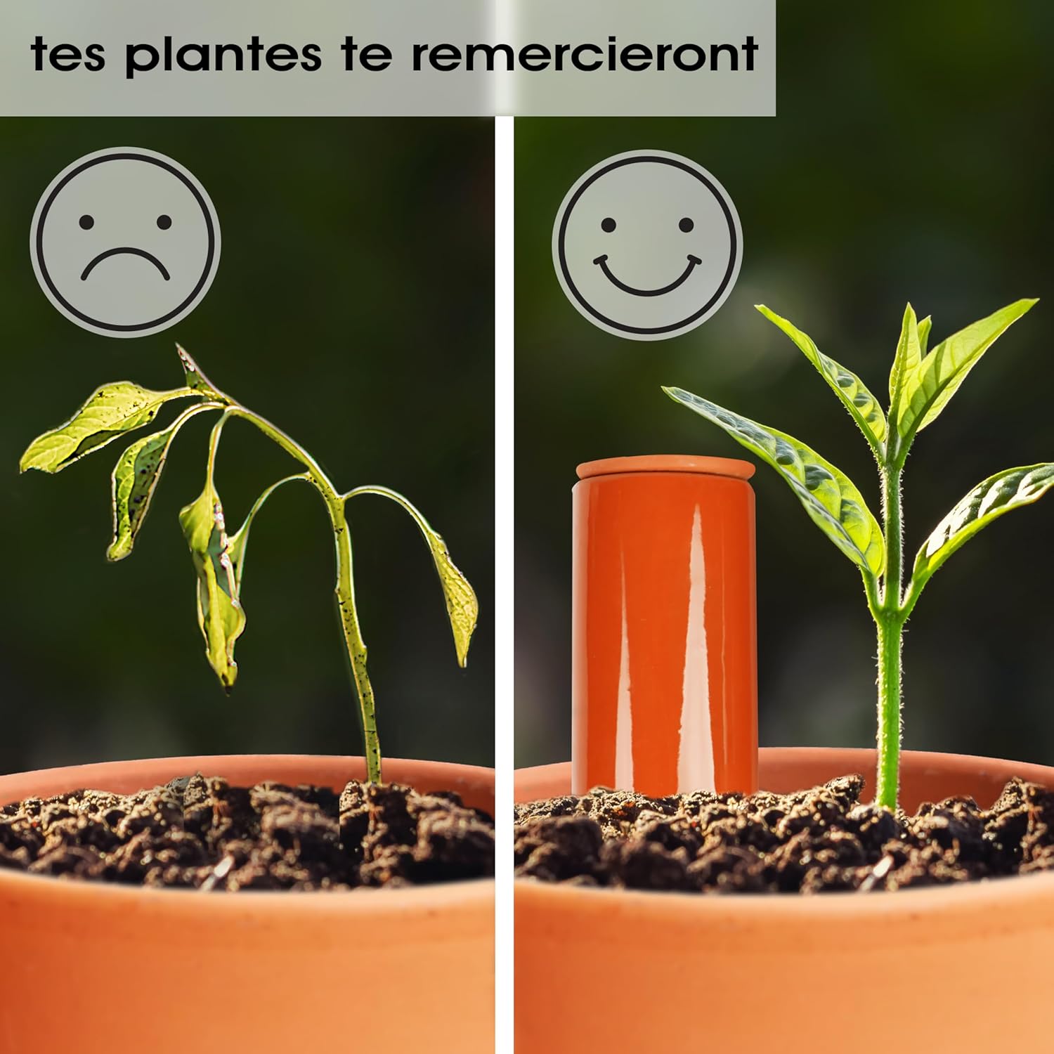 Thumbnail 3 de LIVONDO Arrosoir terre cuite 530 ml 🌷