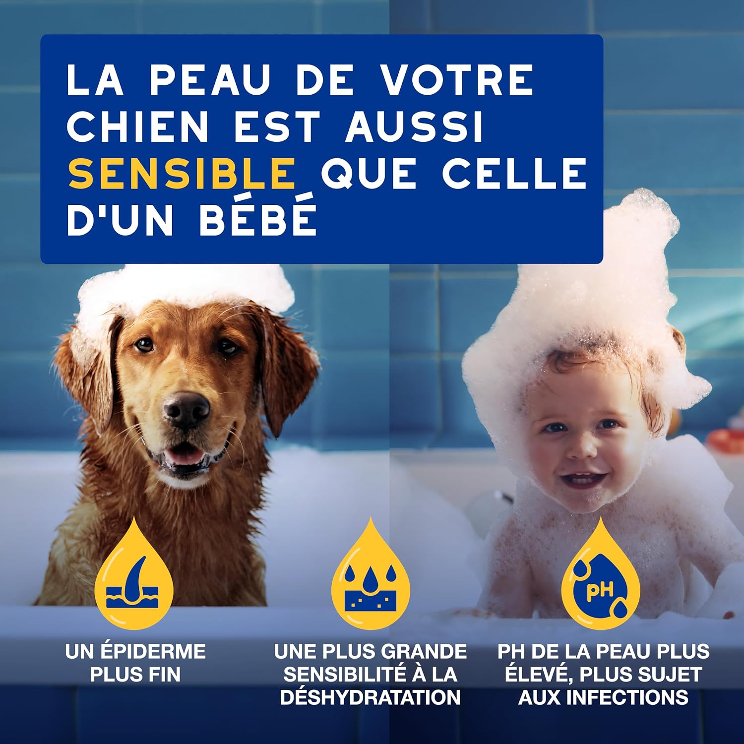 Detalle de DOUXO Skin & Coat Spa – Après-shampoing hydratant Ultra-Safe pour Chien, 250 mL