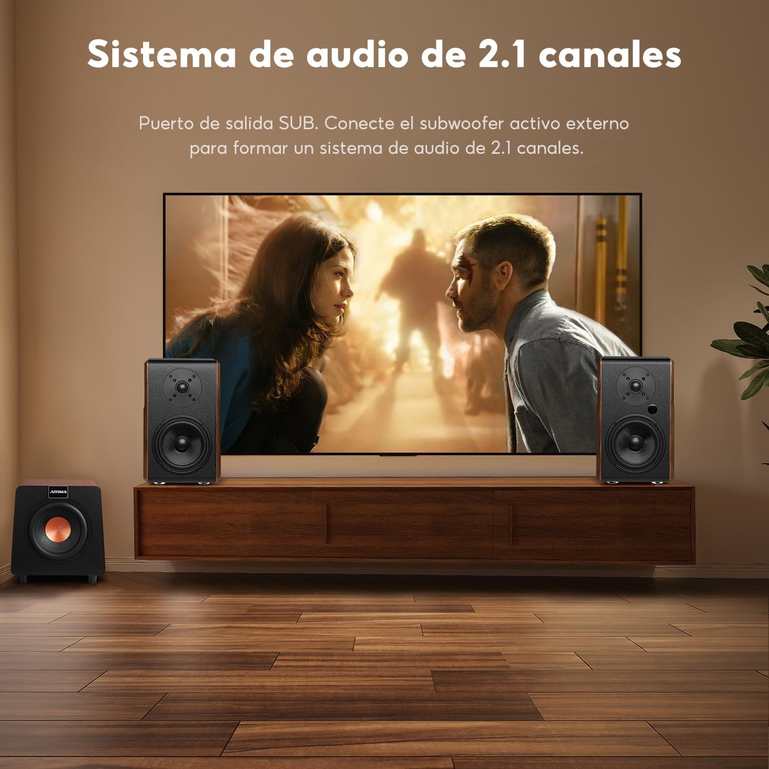 Thumbnail 6 de AIYIMA S700 altavoces estantería 100 W