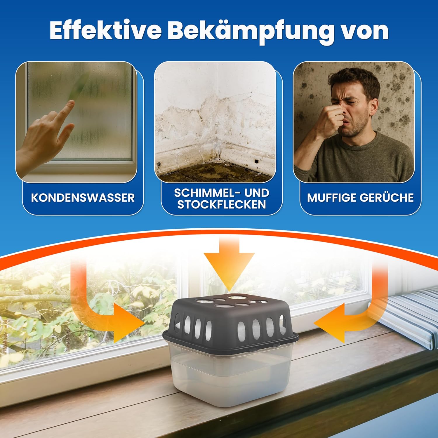 Detalle de MoistBuster® 4x Luftentfeuchter 40 m² 🏠