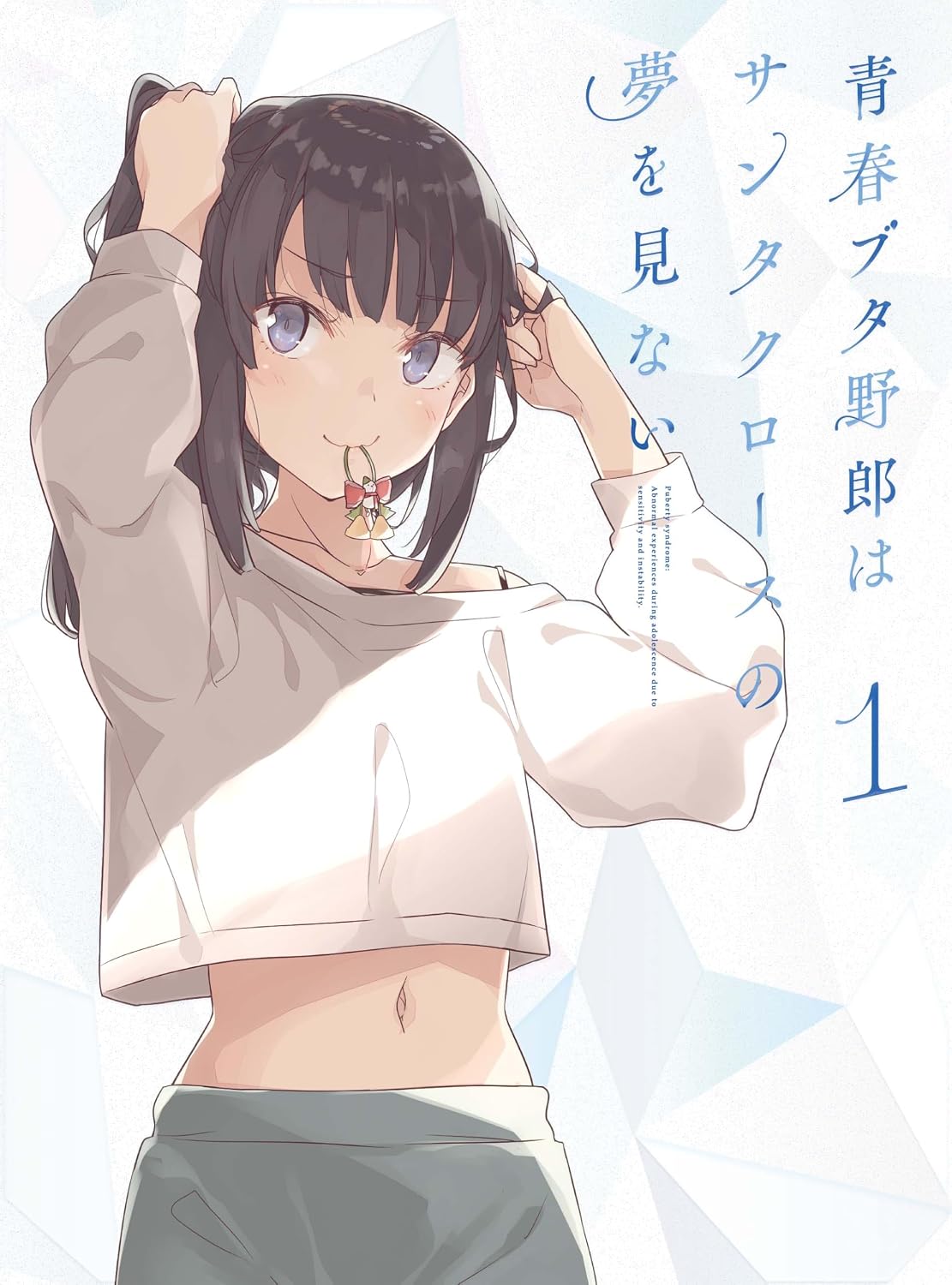 Detalle de 青春ブタ野郎はサンタクロースの夢を見ない 1 完全生産限定版 Blu-ray 特典CD・書き下ろし小説付き