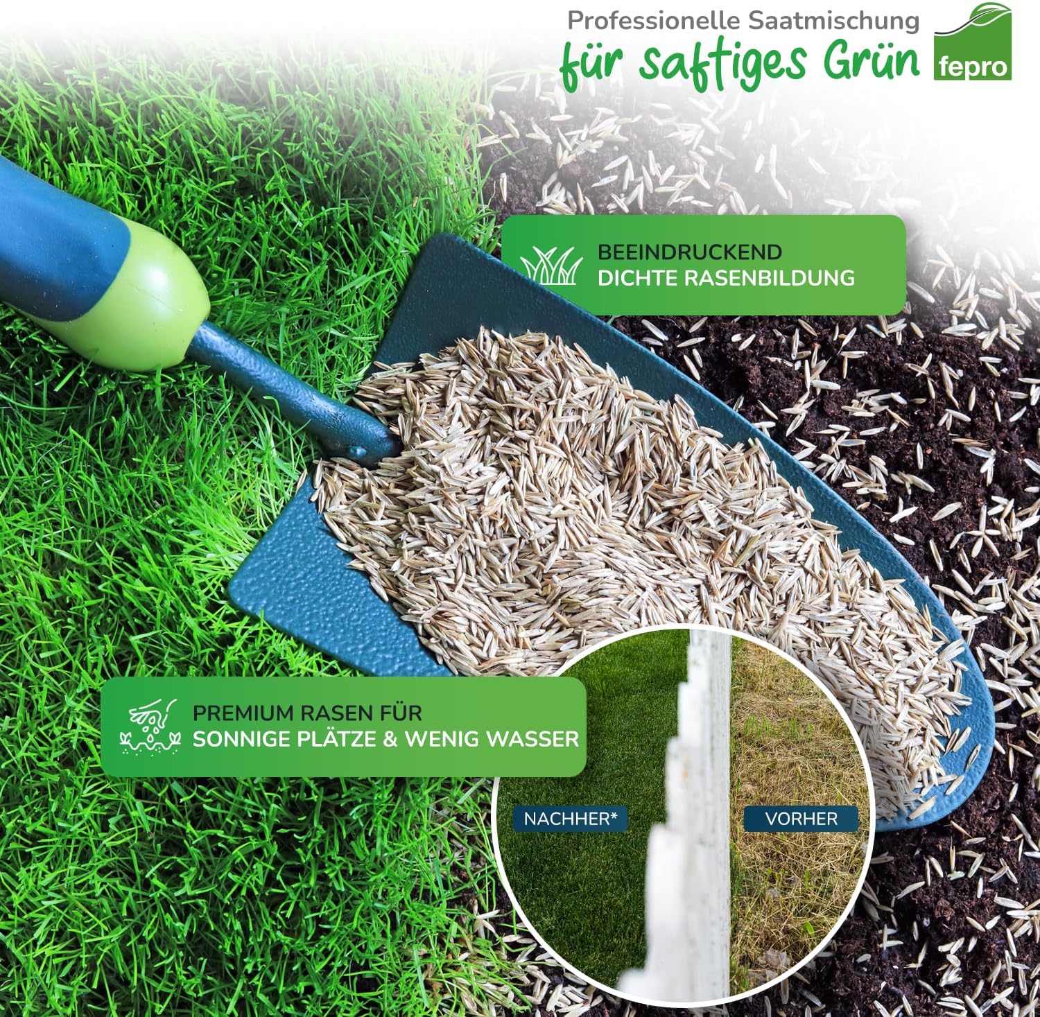 Thumbnail 2 de 10 kg Rasensamen trocken- & dürreresistent für Trockenrasen und Schattenrasen – schnellkeimend, für Neu- und Nachsaat (bis 400 m²)