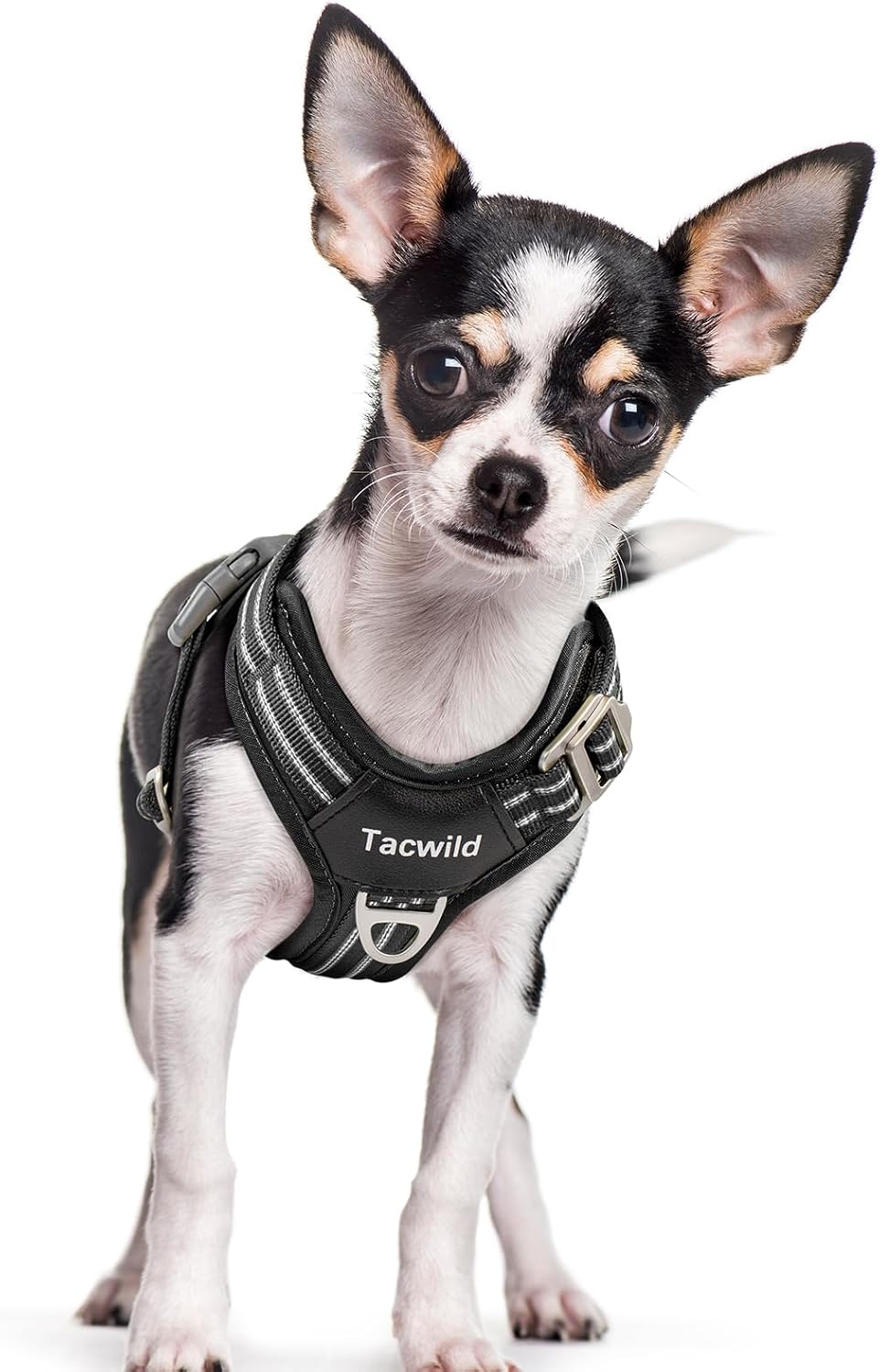 Detalle de Tacwild Dog Harness Size S