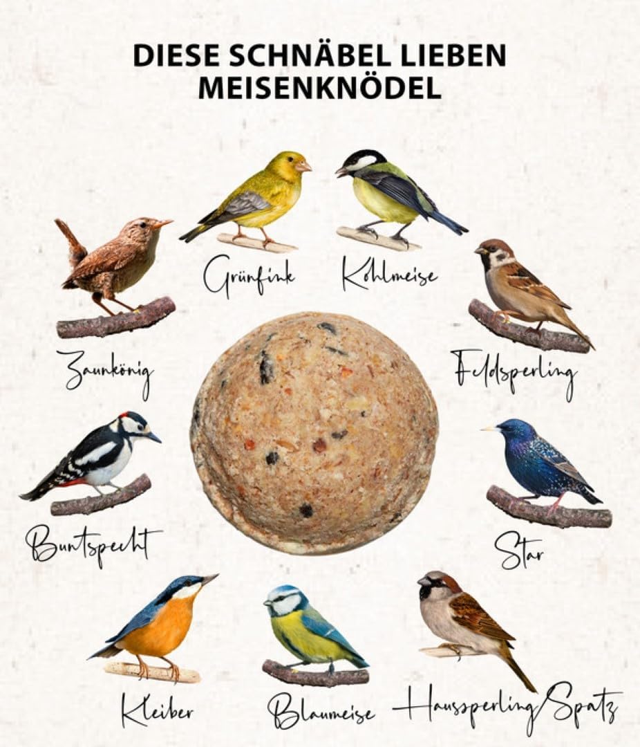 Detalle de Dehner Natura Vogelfutter – Premium Ganzjahresfutter für Meisen und Rotkehlchen, 9 kg im Vorratseimer (100 Stück, Fettfutter mit Nüssen, ohne Netz)