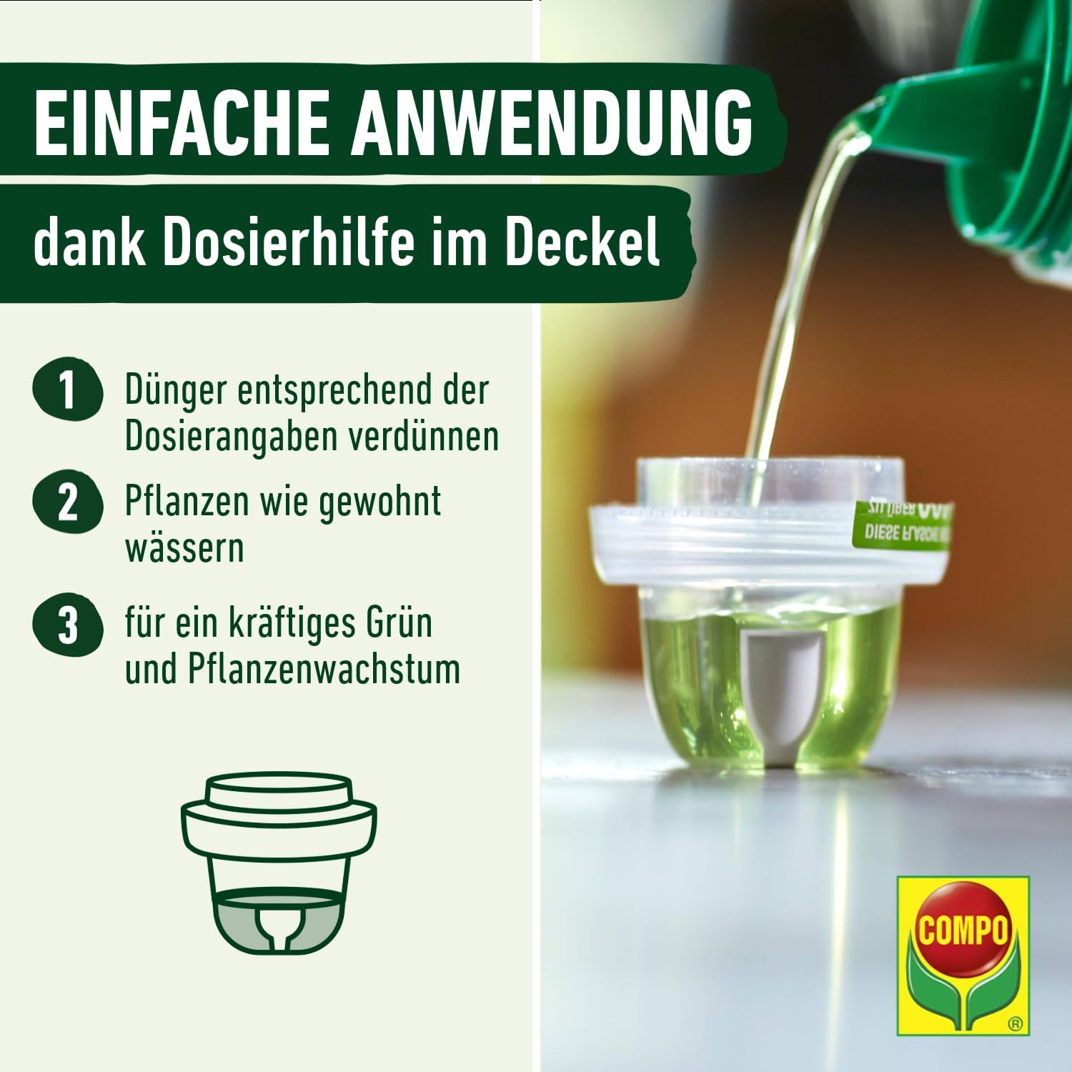 Detalle de COMPO Grünpflanzen- und Palmendünger Spezial-Flüssigdünger, 1 Liter – Zimmer-, Balkon- und Terrassenpflanzen