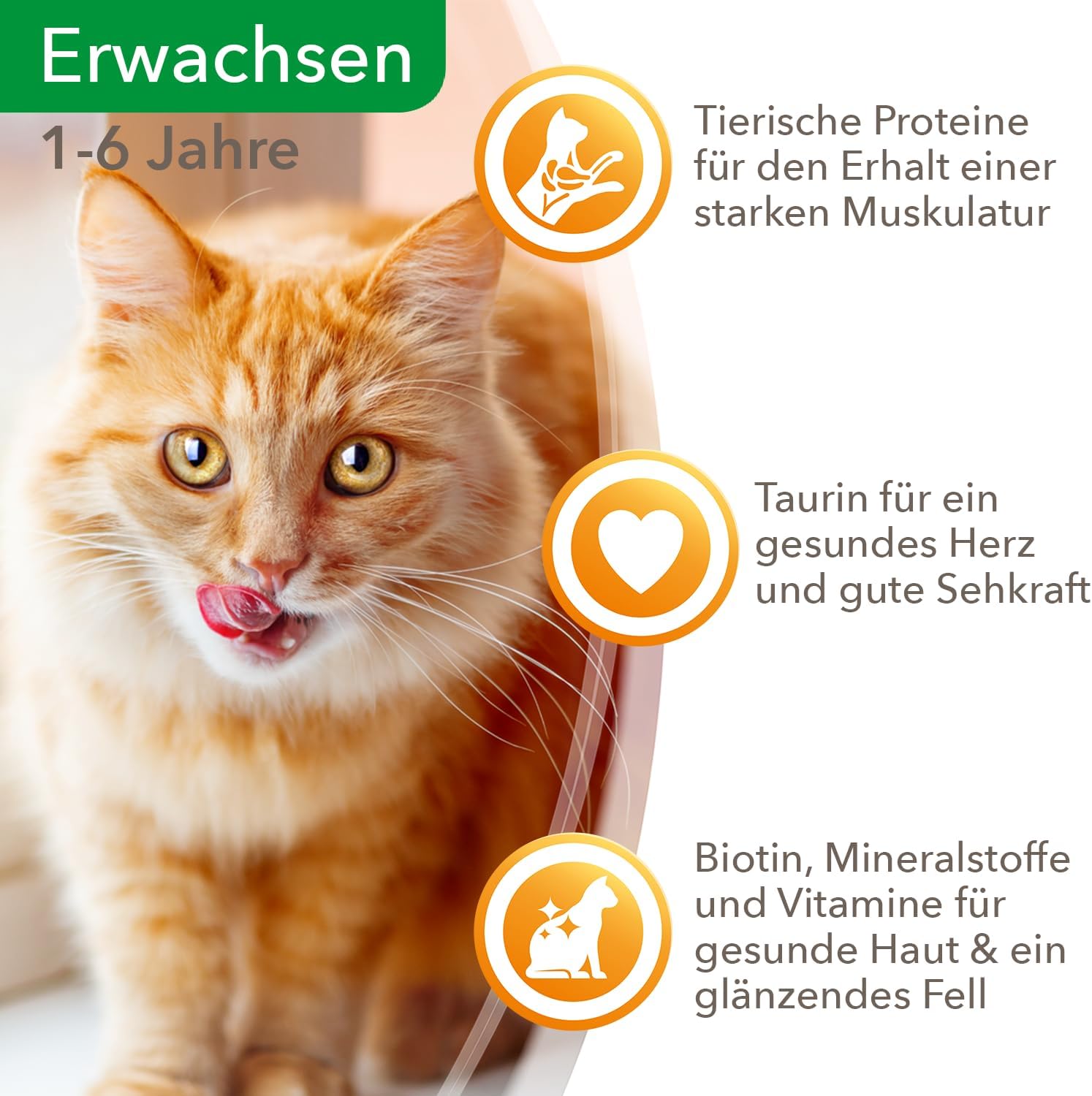 Detalle de Iams Advanced Nutrition Chat Adulte Assortiment Terre Land en gelée – 72 sachets x 85 g