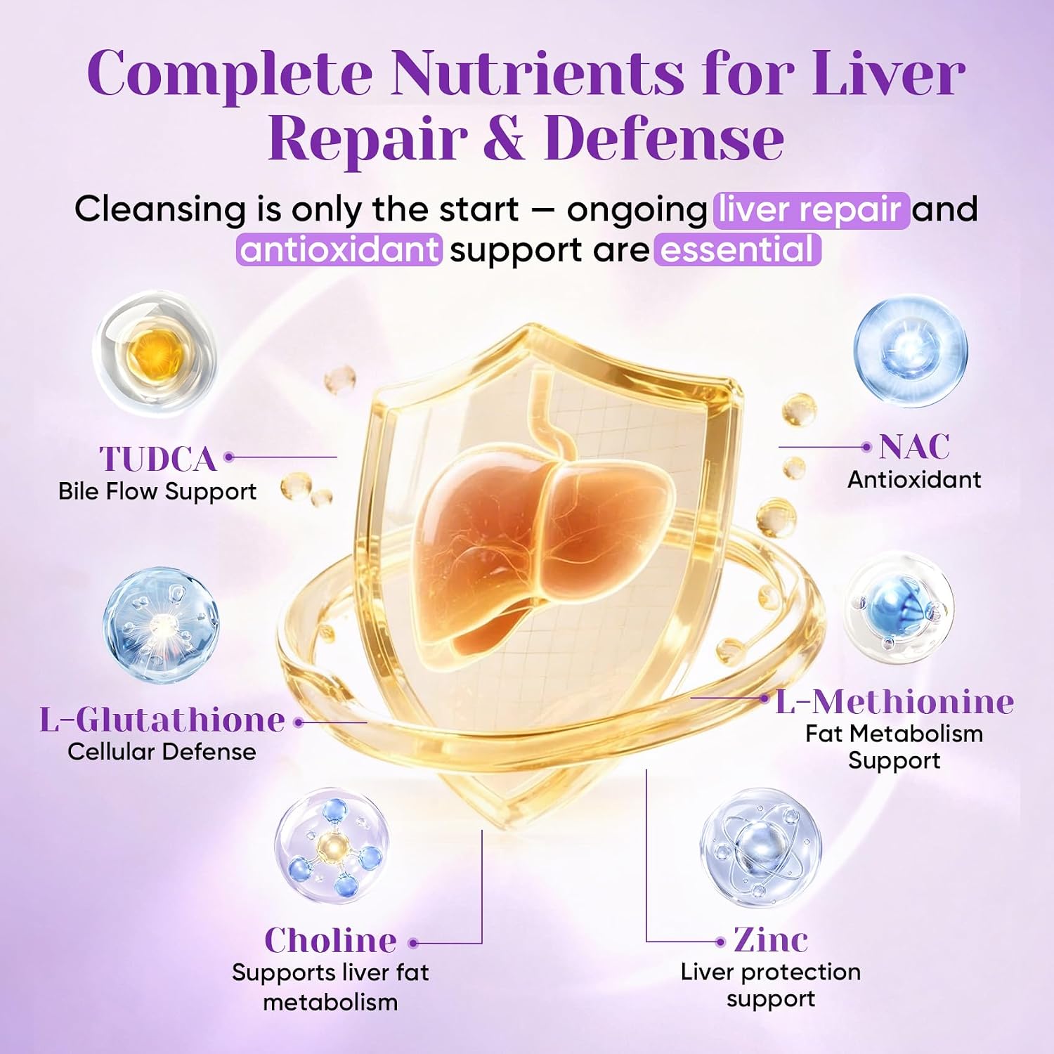 Detalle 2 de FIDUS Liver Support Supplement with 80% Silymarin