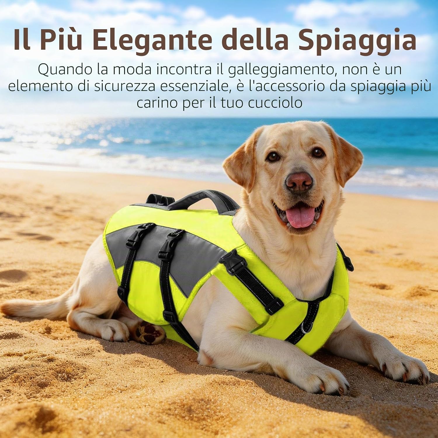 Thumbnail 5 de CITÉTOILE Salvagente Cane Regolabile Ripstop XL – Giubbotto di Salvataggio Verde per Cani