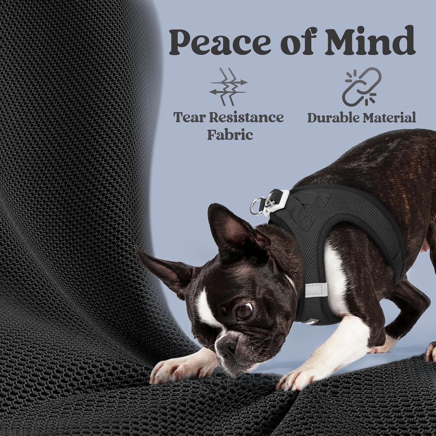 Thumbnail 3 de rabbitgoo Step-in Dog Harness S, Reflective