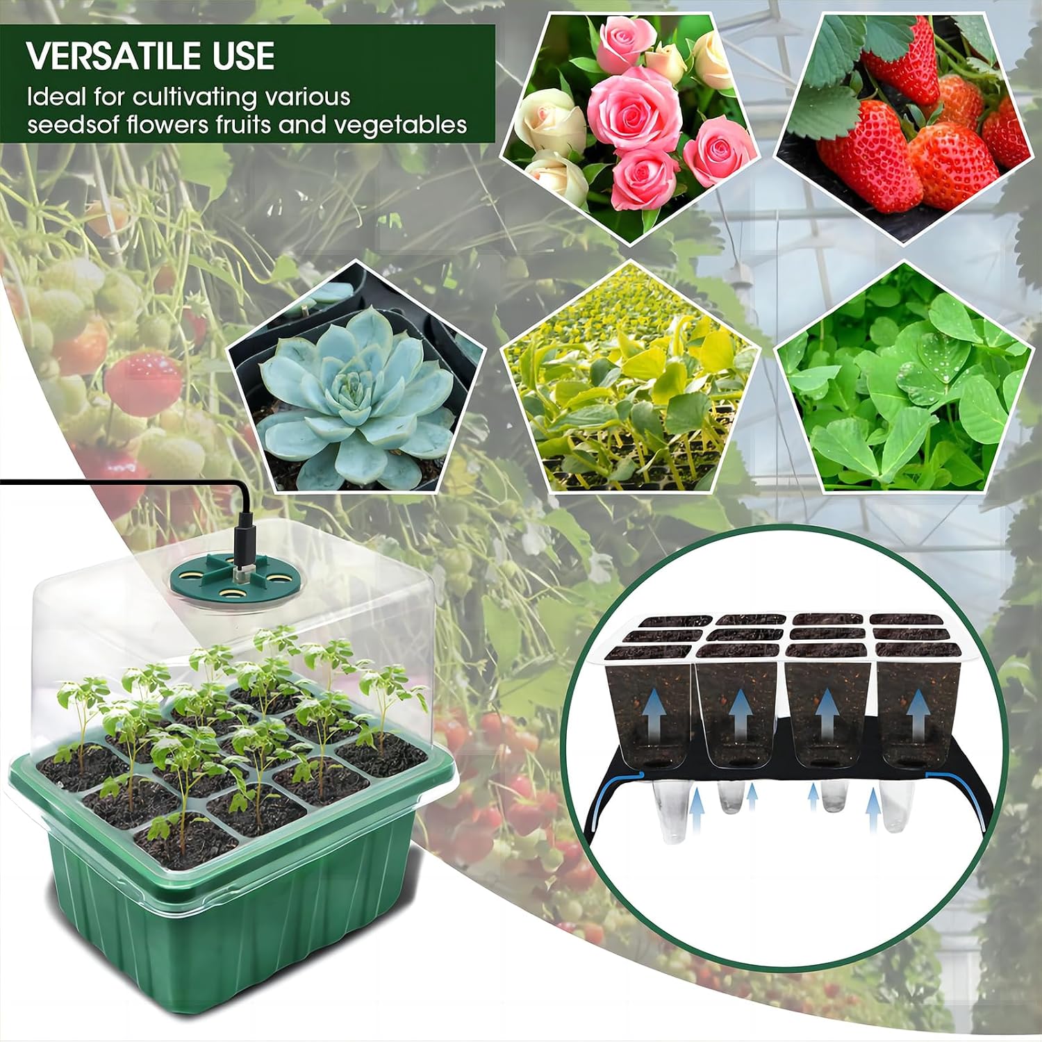 Thumbnail 6 de MQFORU Self-Watering Seed Starter Kit, 72 Cells, Grow Lights and Humidity Domes