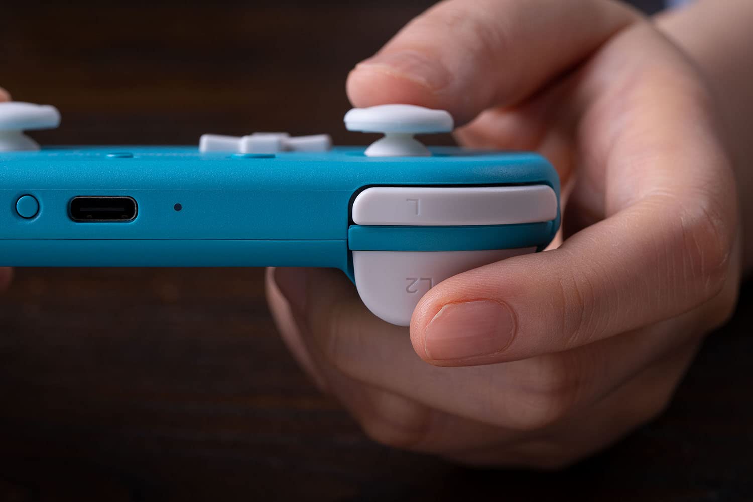 Detalle 2 de 8BitDo Lite 2 Bluetooth Gamepad 2 for Switch
