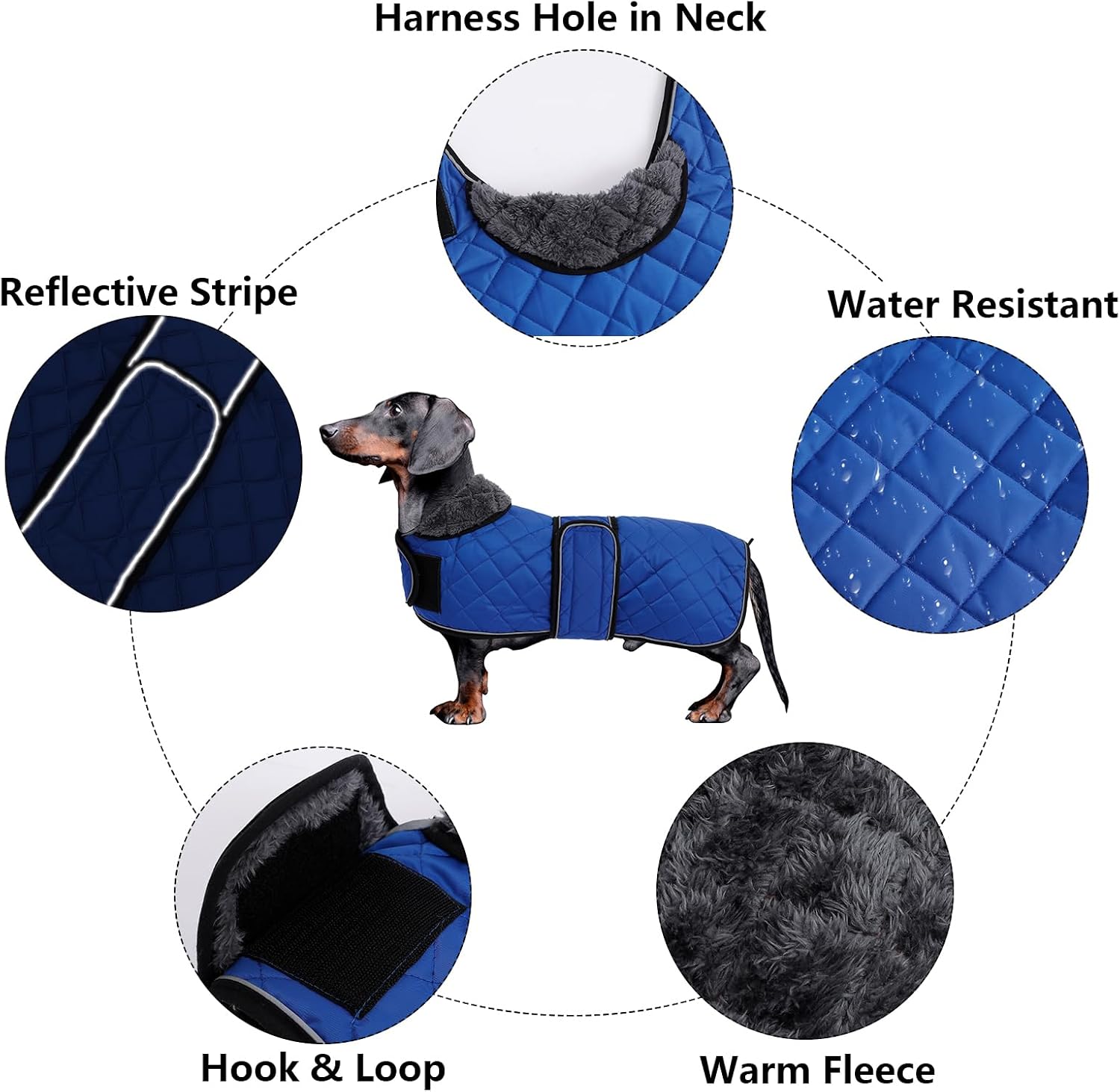 Thumbnail 2 de Morezi Dachshund Winter Coat with Padded Fleece Lining, Navy, Medium