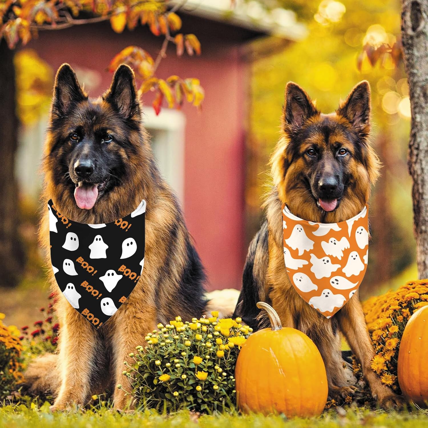 Detalle de Halloween Dog Bandanas, 2-Piece Set