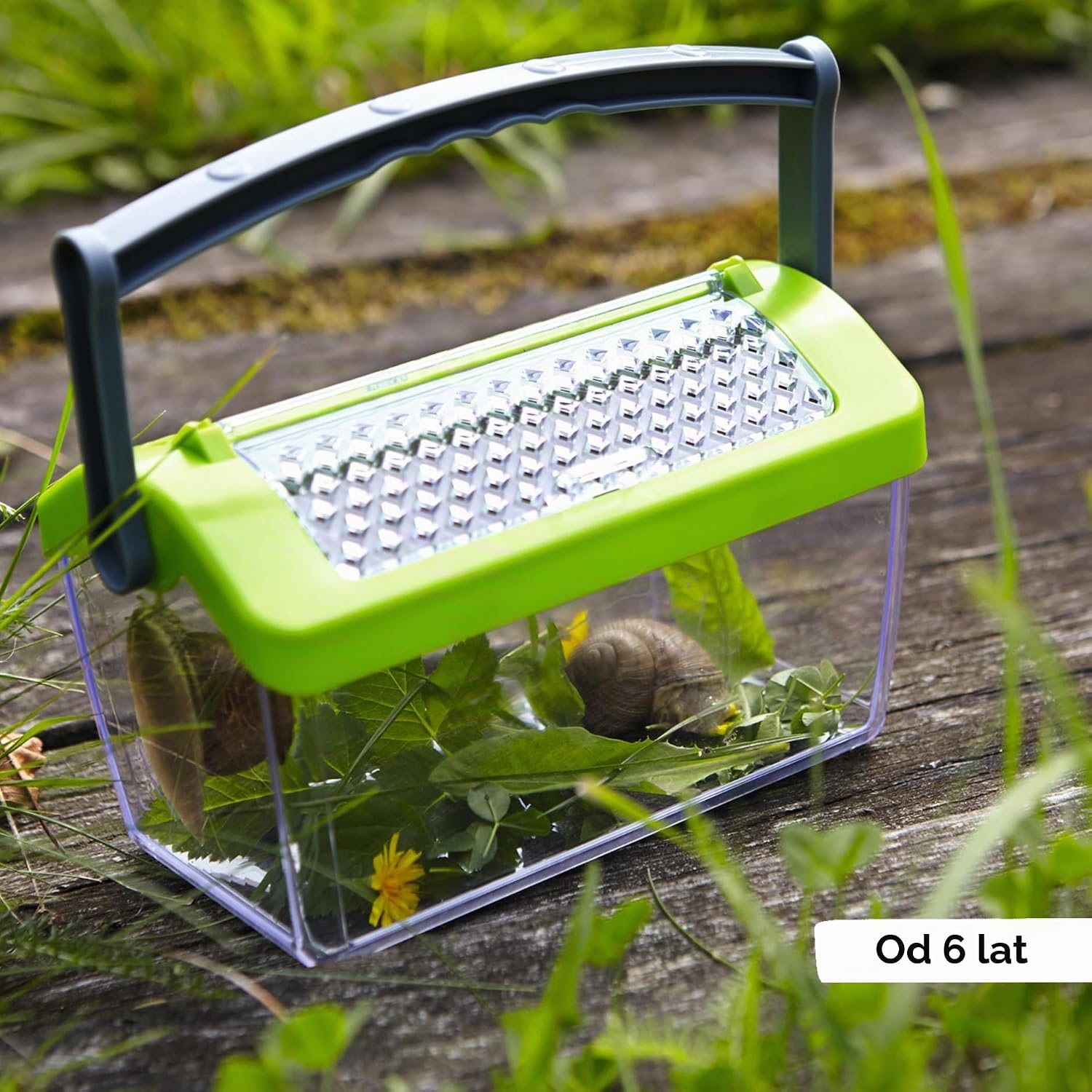 Detalle 2 de HABA 301513 Terra Kids – pojemnik na owady 11,5 cm z uchwytem i wentylacją