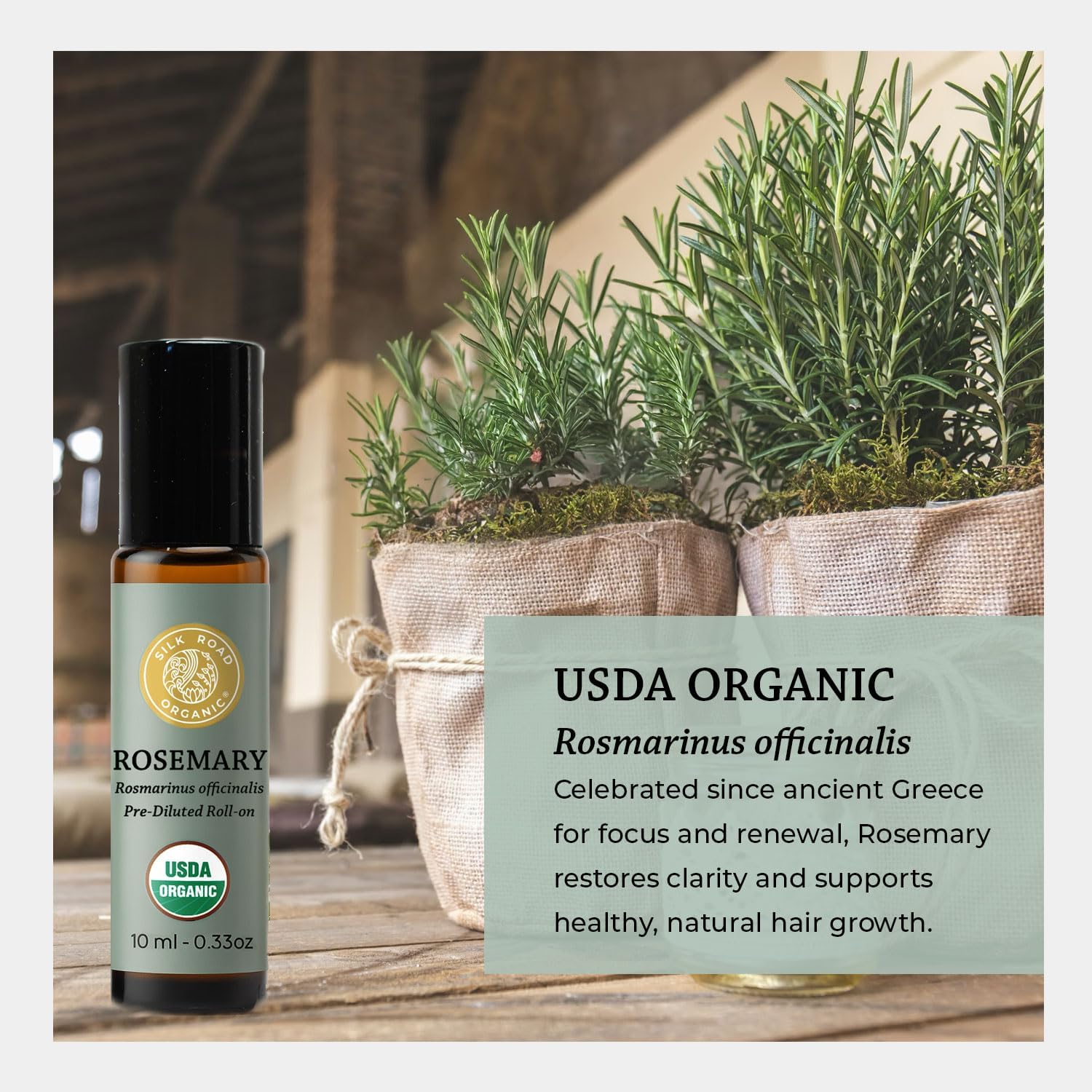 Thumbnail 6 de Silk Road Rosemary Essential Oil Roll-On