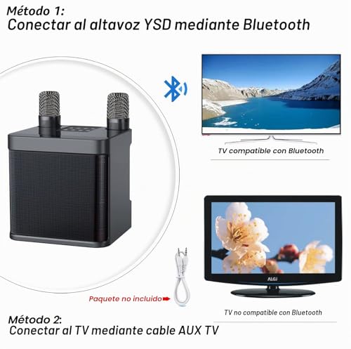 Detalle 2 de Karaoke 2 micrófonos inalámbricos con altavoz profesional de MUMUWIND